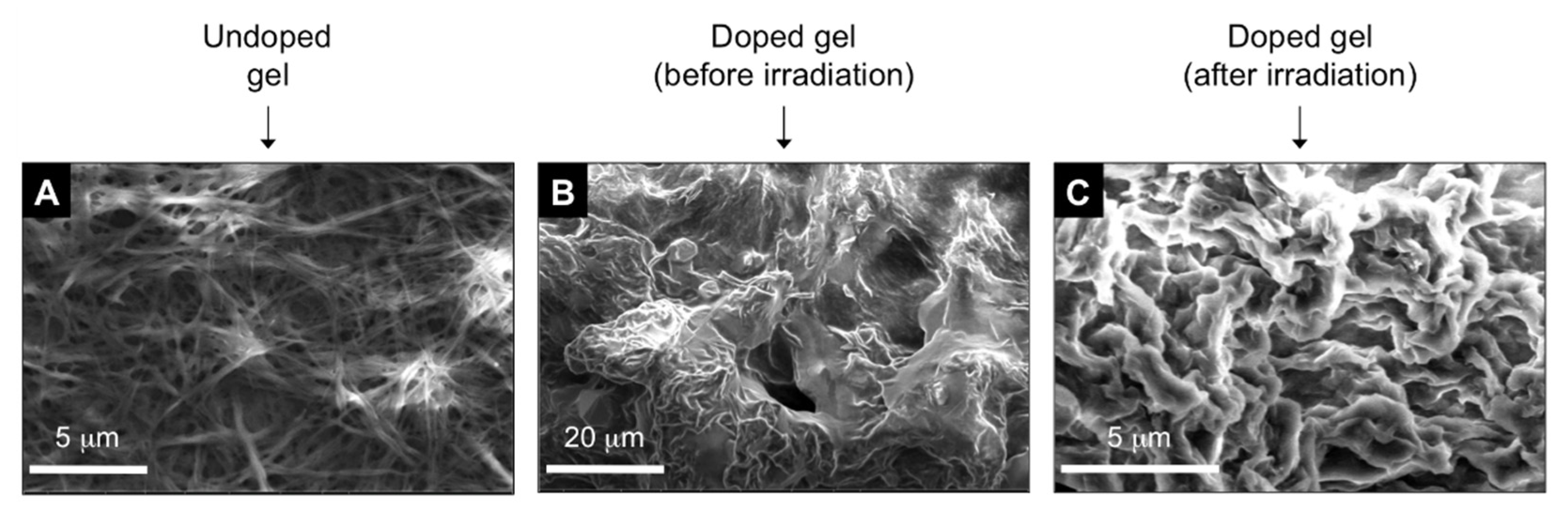 Molecules 24 00029 g003