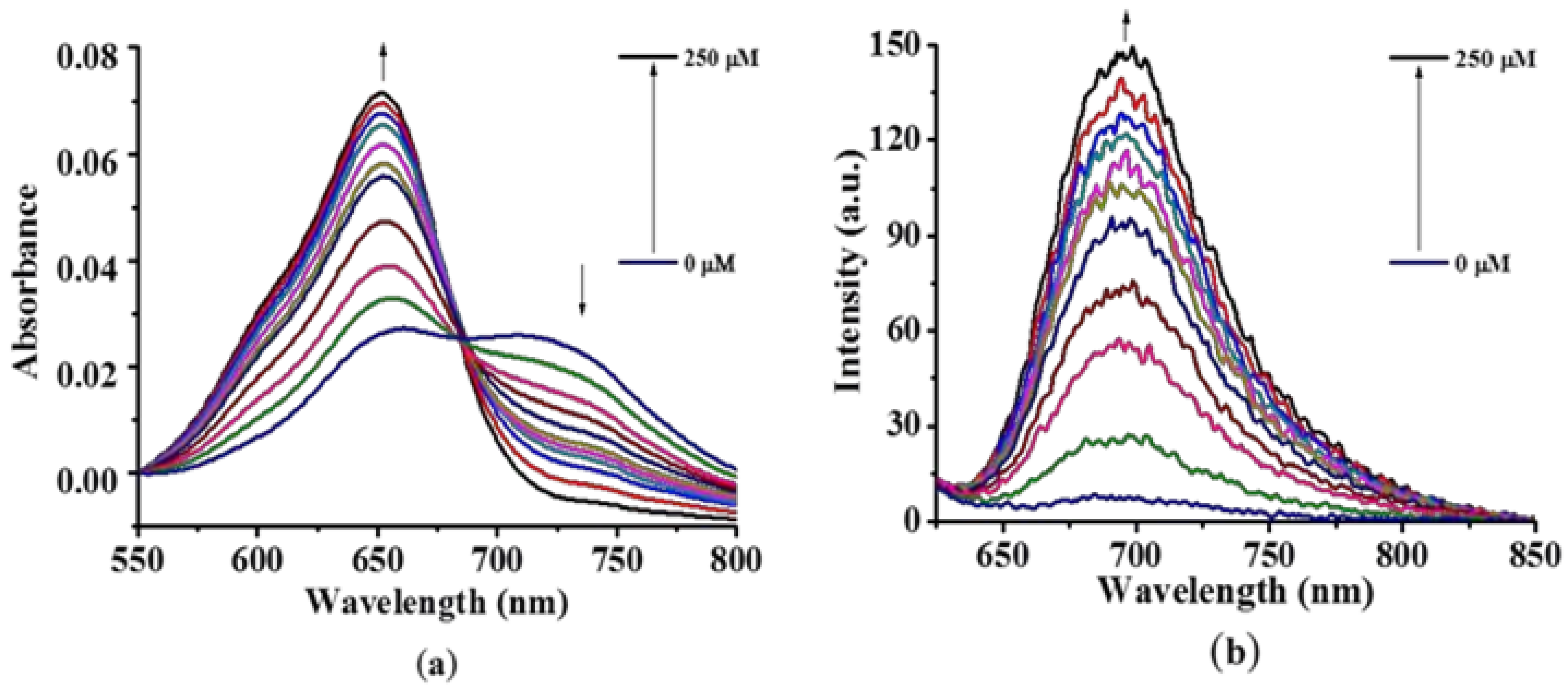 Molecules 24 00032 g004
