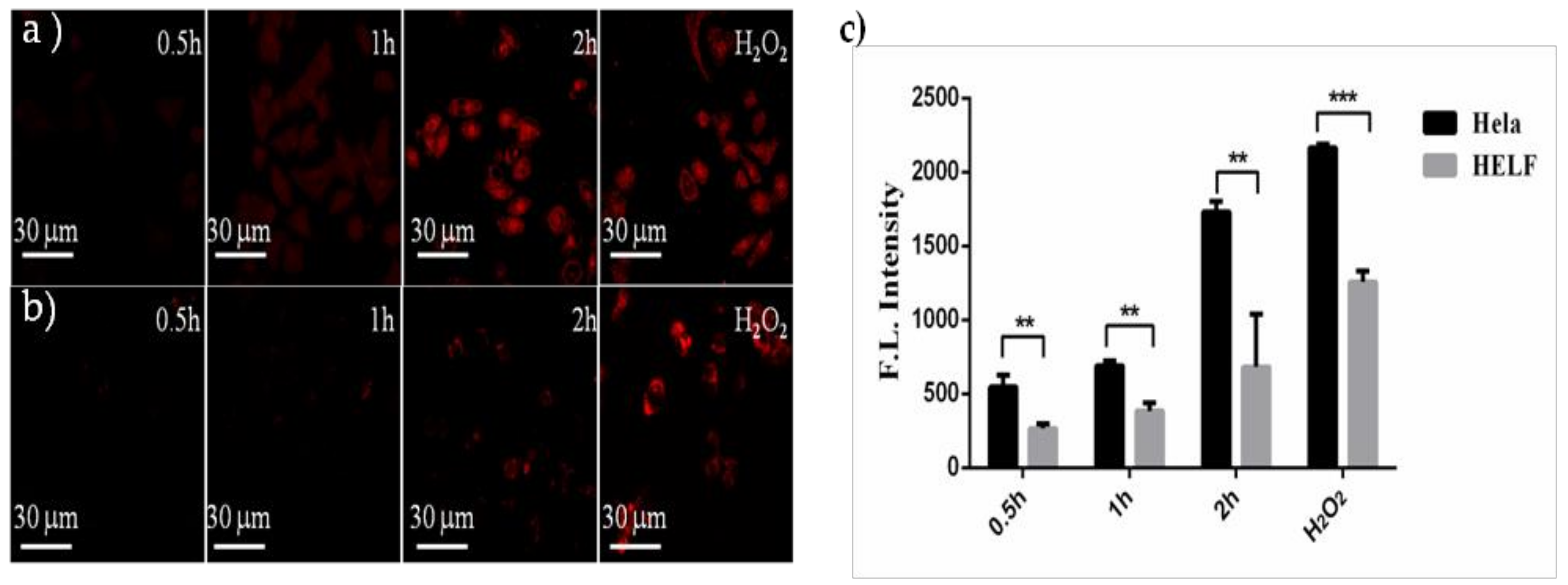 Molecules 24 00032 g009