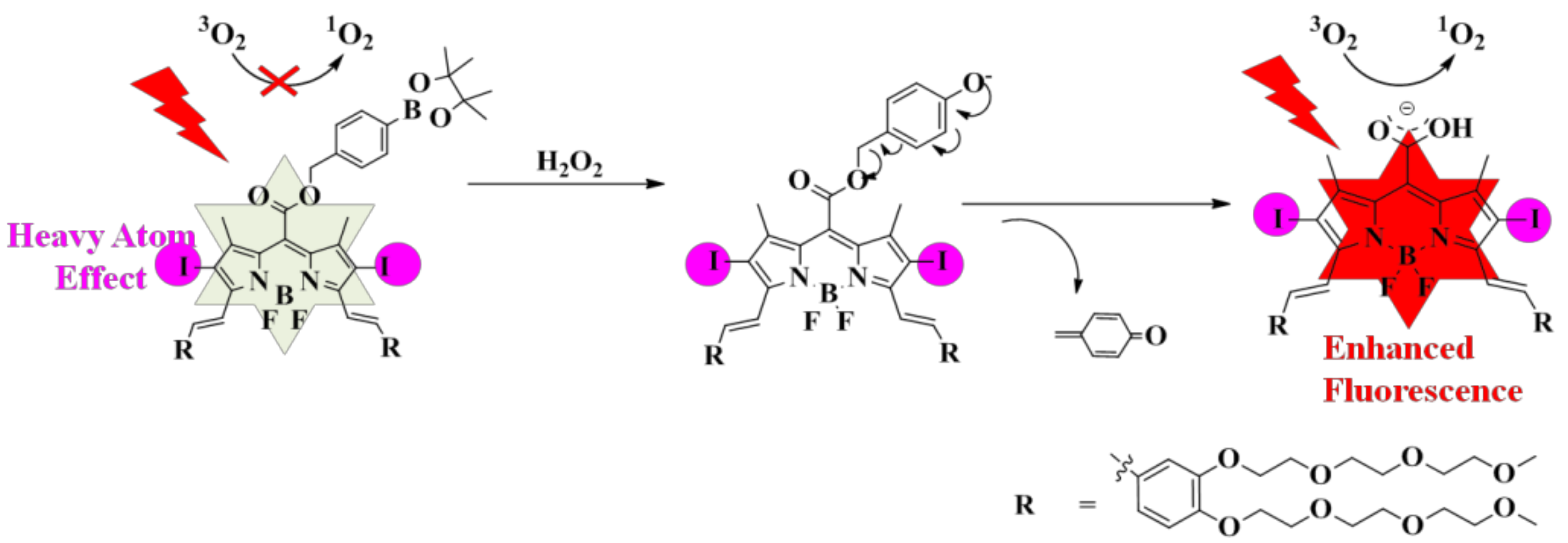 Molecules 24 00032 sch001