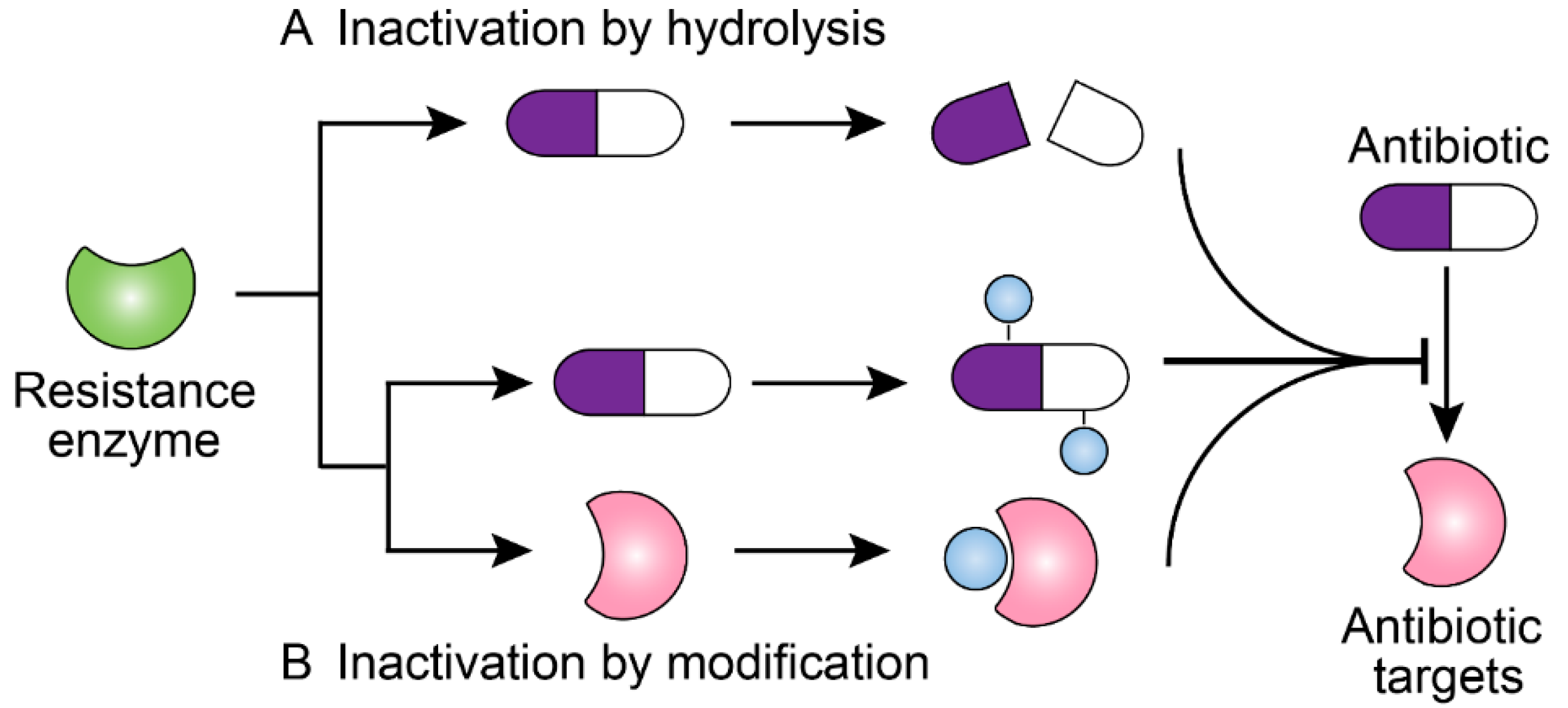 Molecules 24 00043 g001 Molecules 24 00043 g001