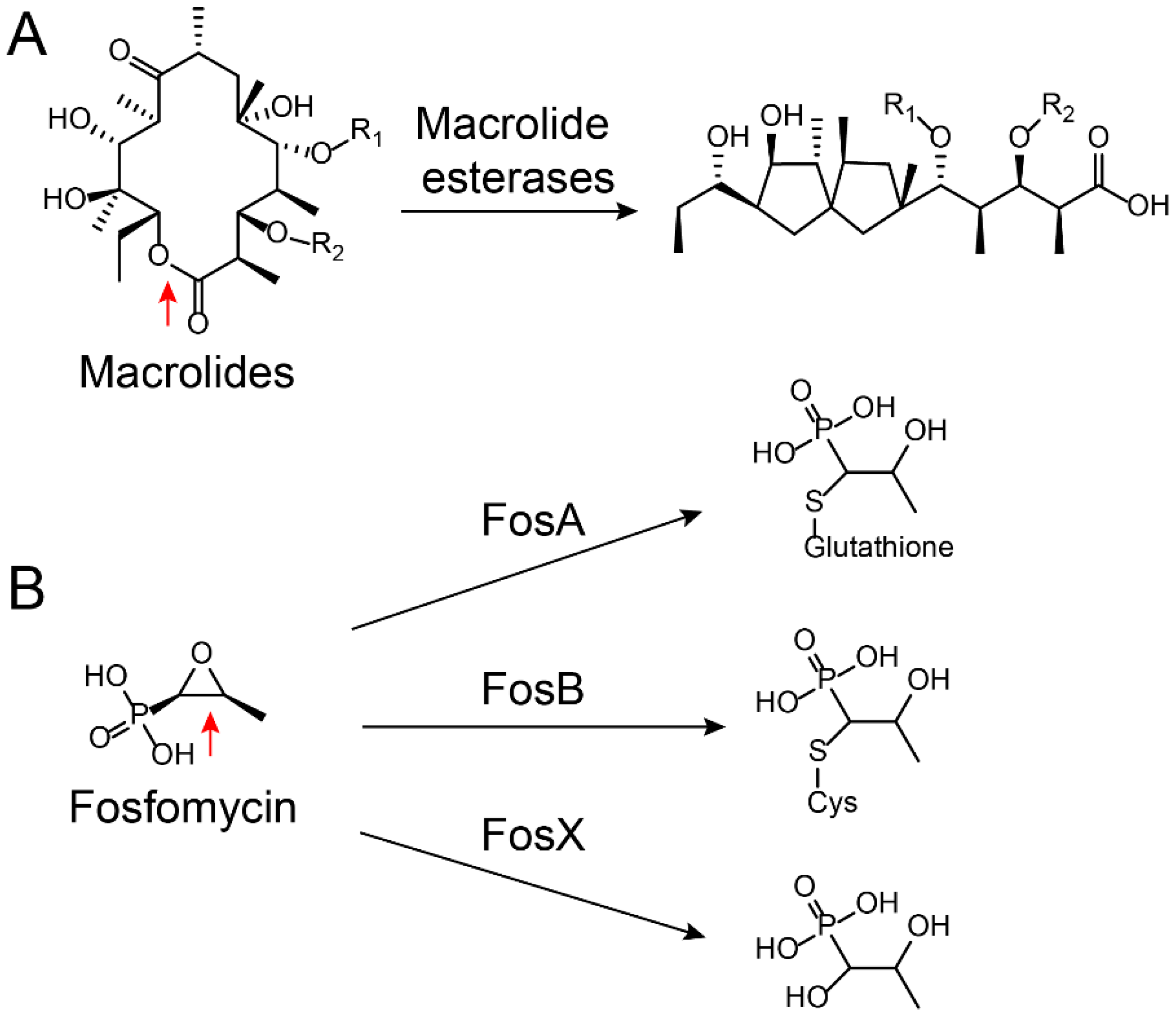 Molecules 24 00043 g003 Molecules 24 00043 g003