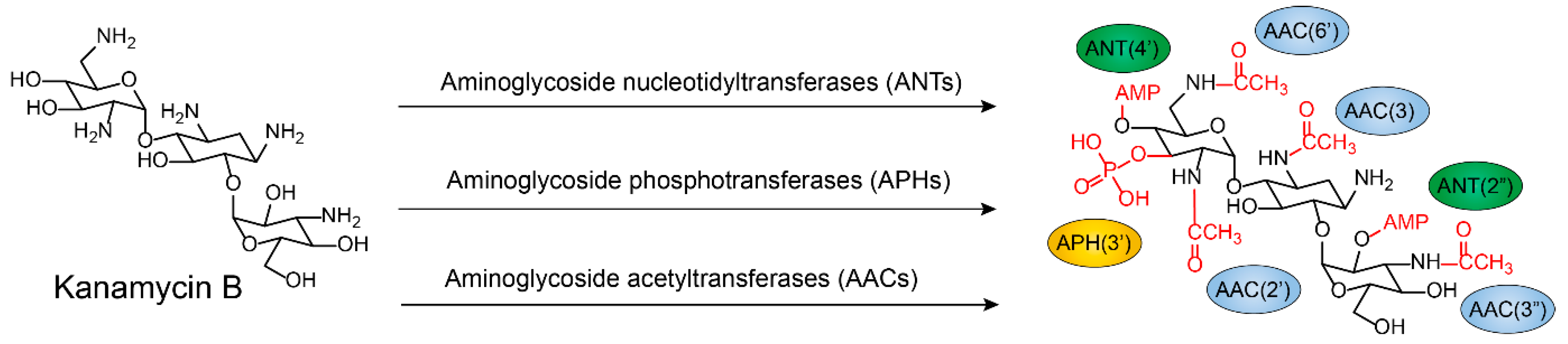Molecules 24 00043 g004 Molecules 24 00043 g004