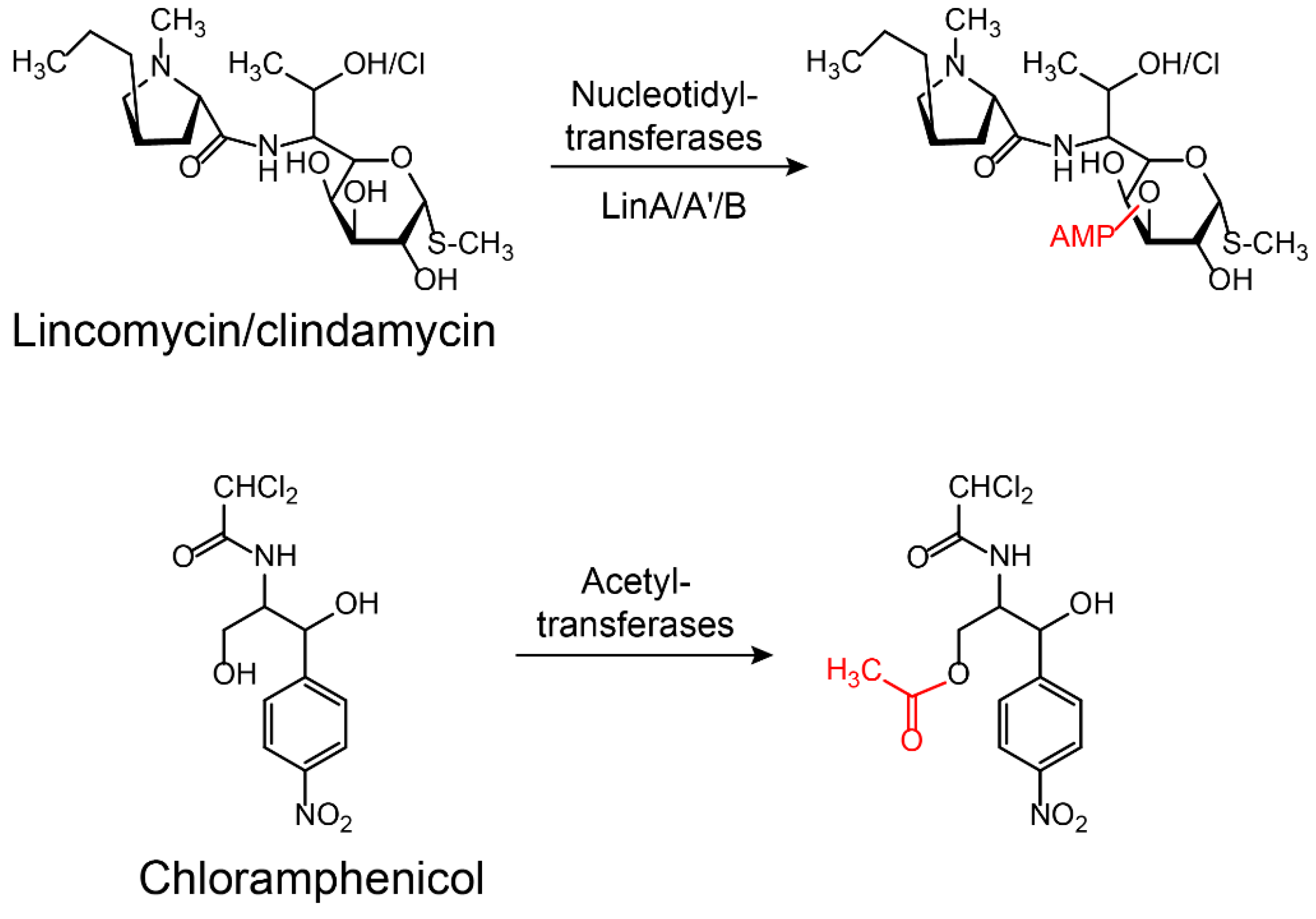 Molecules 24 00043 g005 Molecules 24 00043 g005