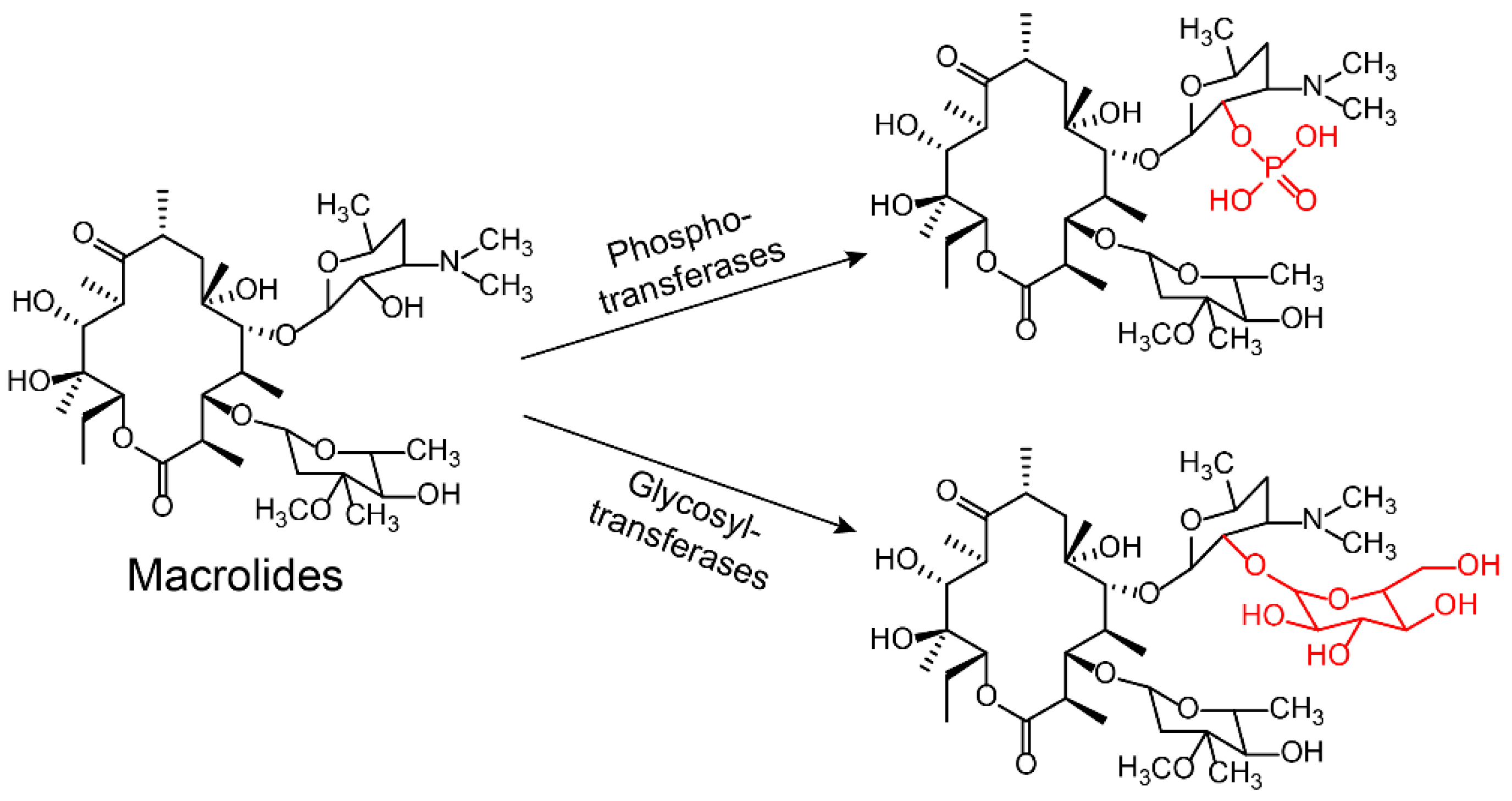 Molecules 24 00043 g006 Molecules 24 00043 g006