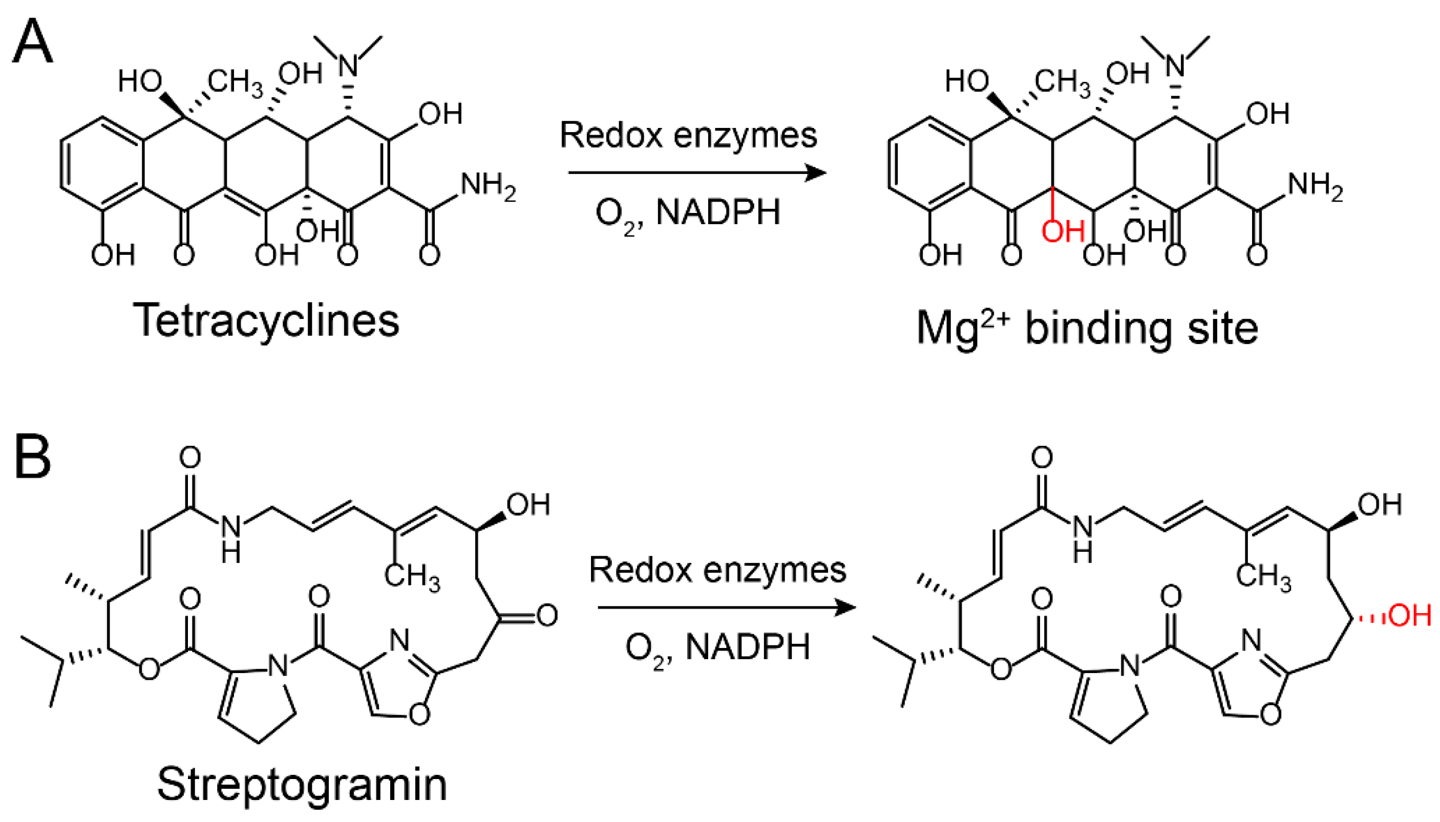 Molecules 24 00043 g007 Molecules 24 00043 g007