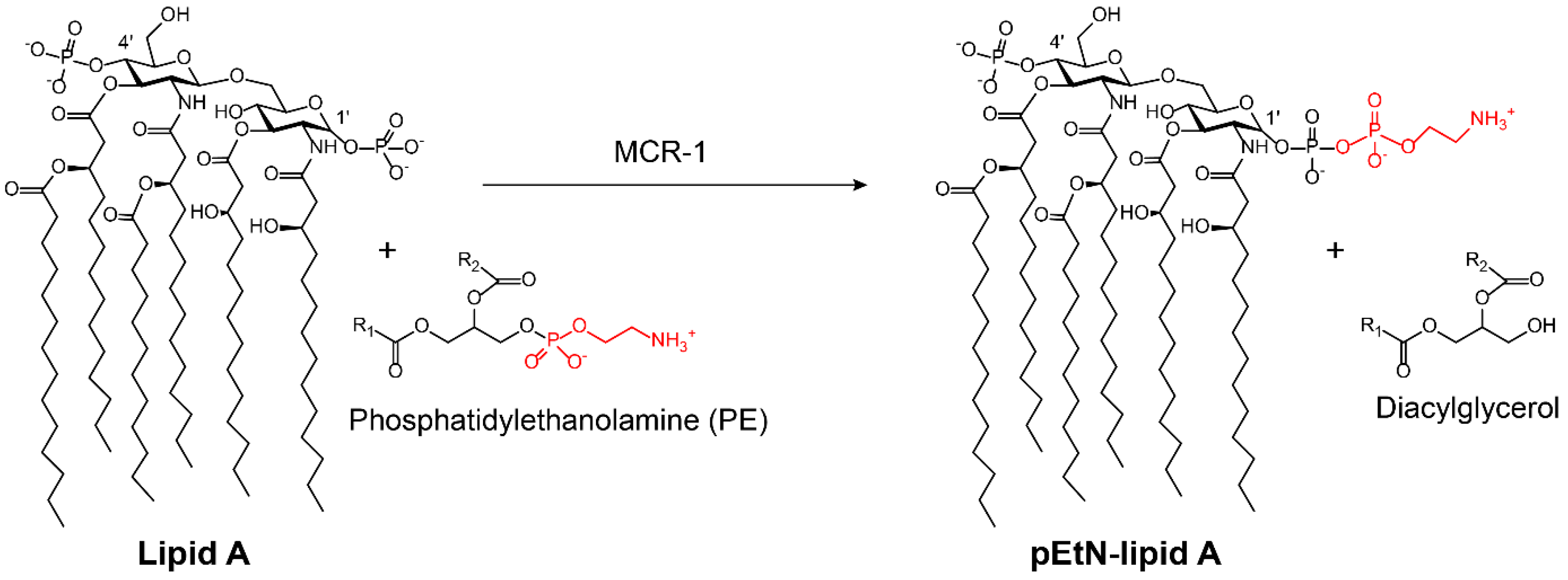 Molecules 24 00043 g008 Molecules 24 00043 g008