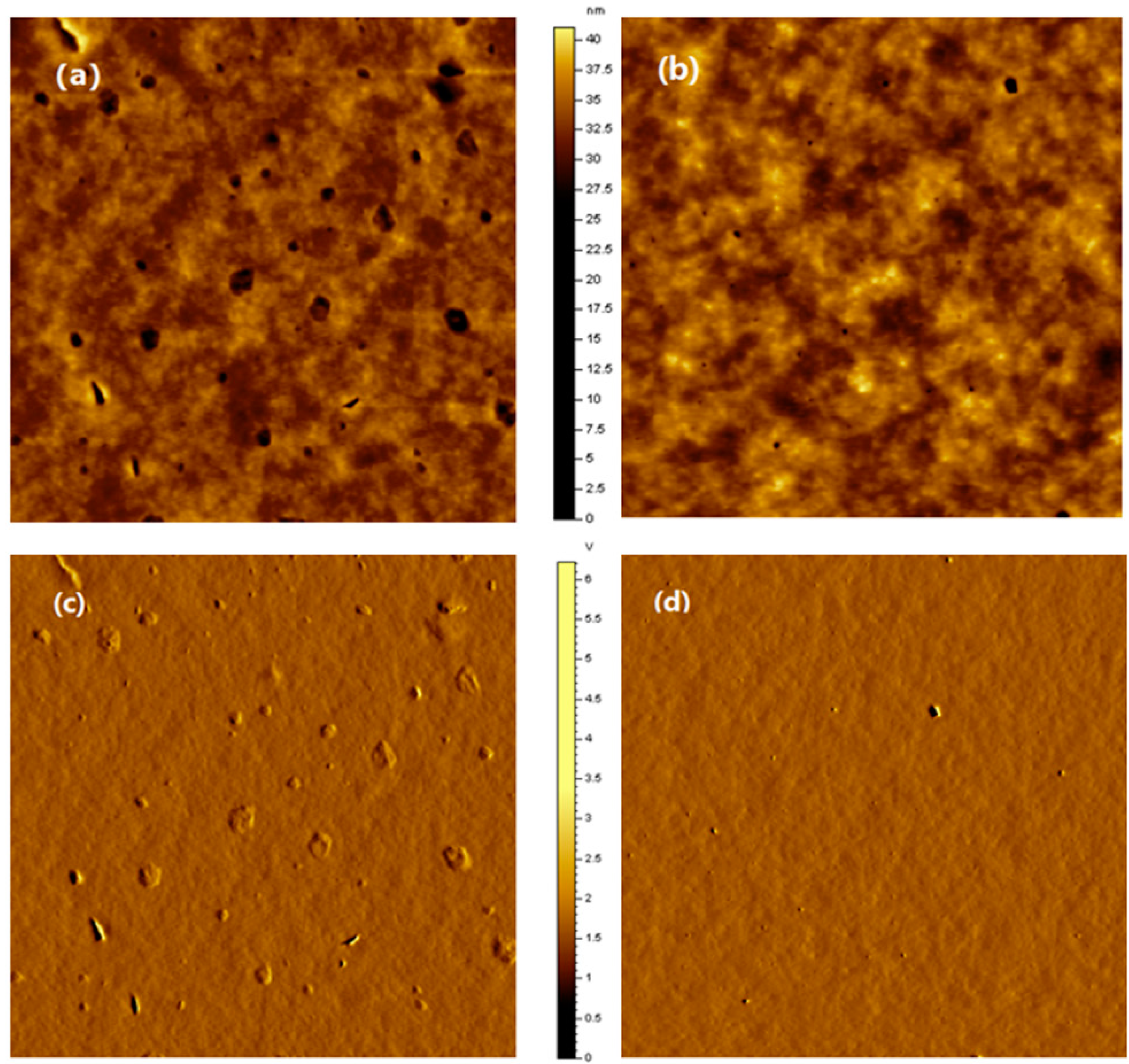 Molecules 24 00054 g006
