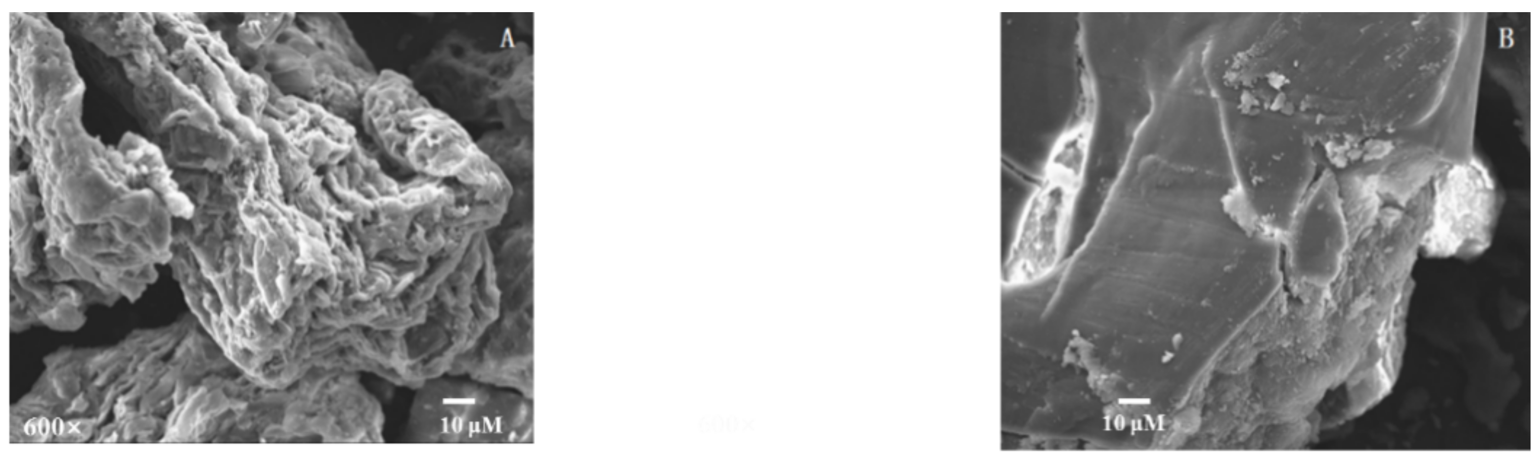 Molecules 24 00060 g002