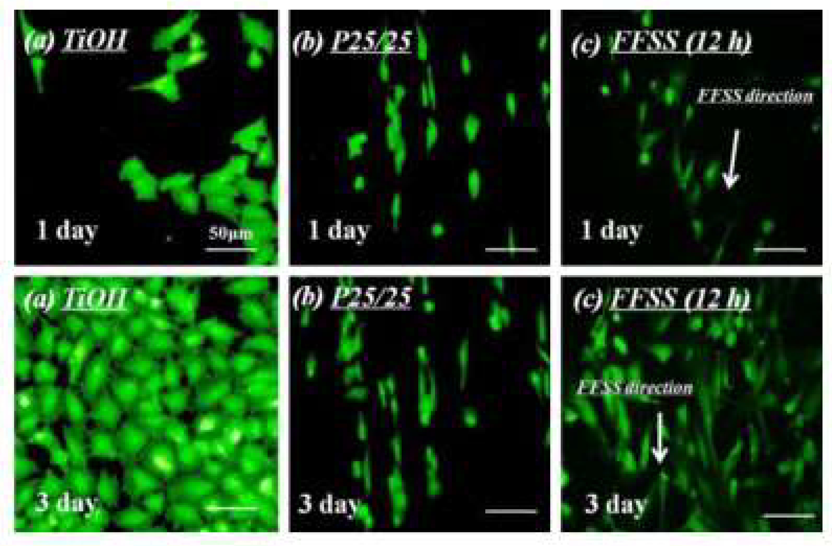 Molecules 24 00075 g002