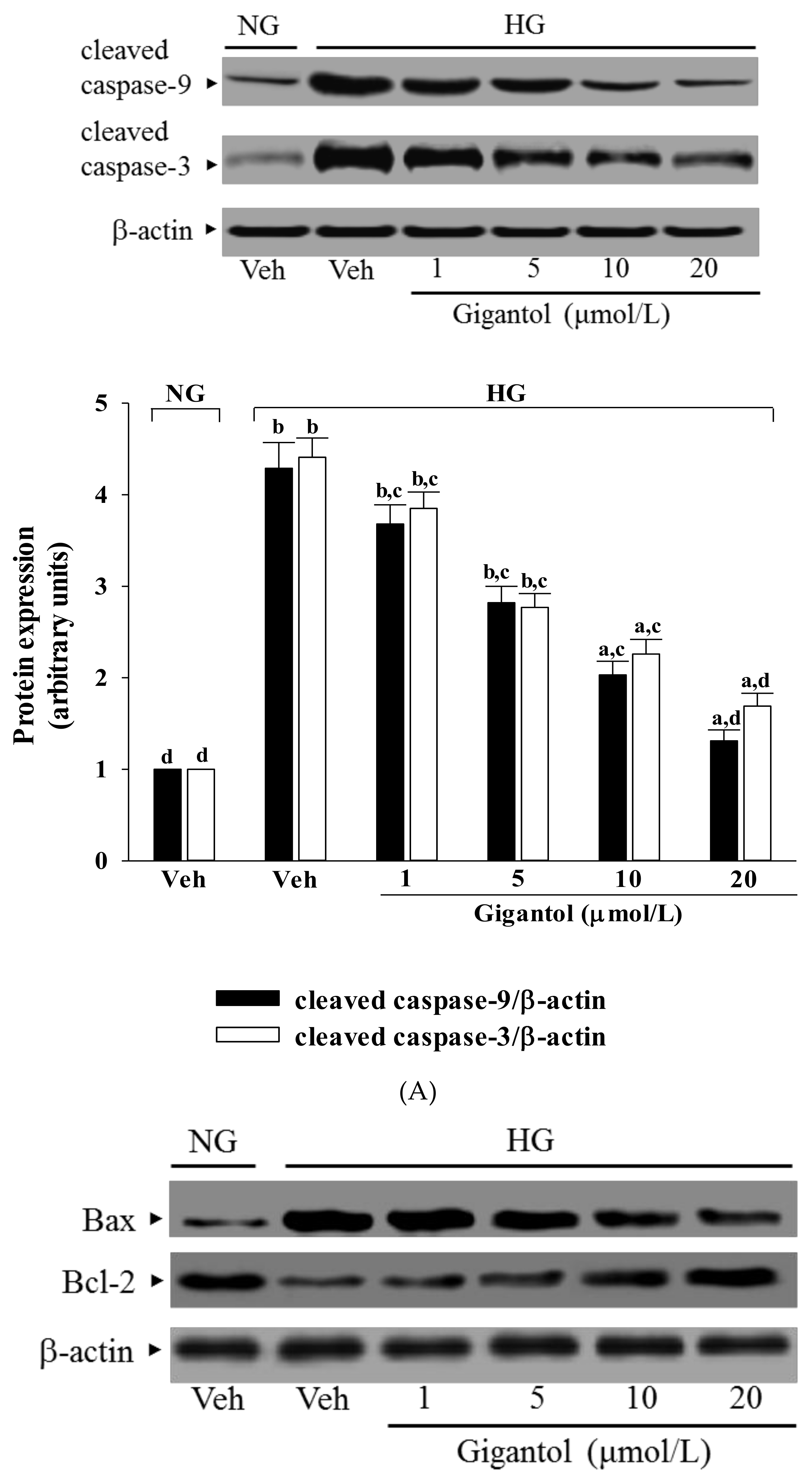 Molecules 24 00080 g004a