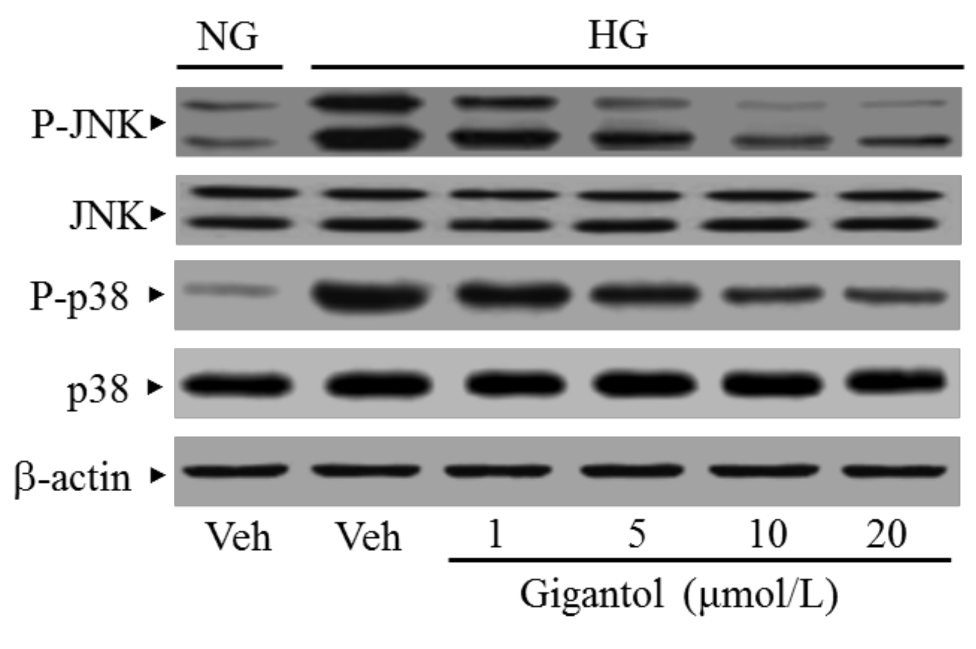 Molecules 24 00080 g005a