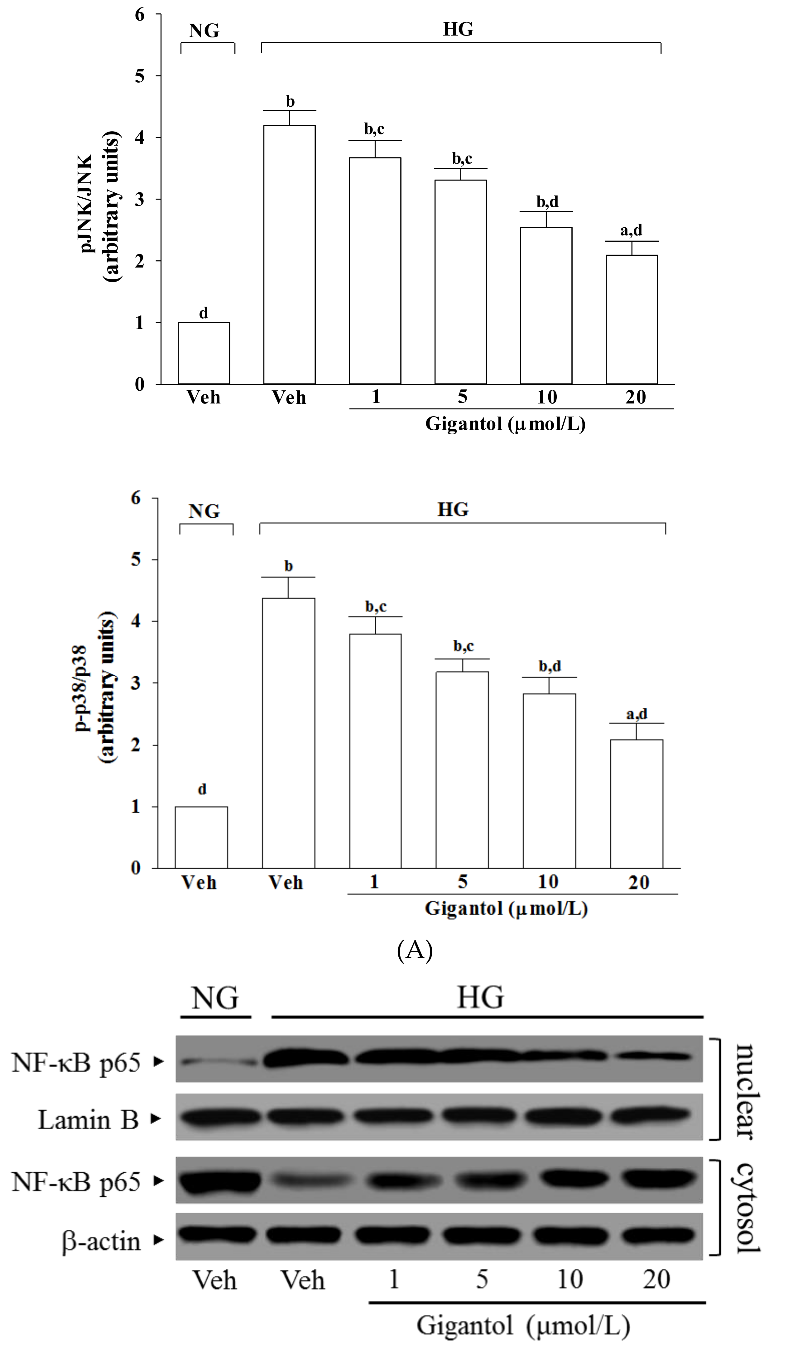 Molecules 24 00080 g005b