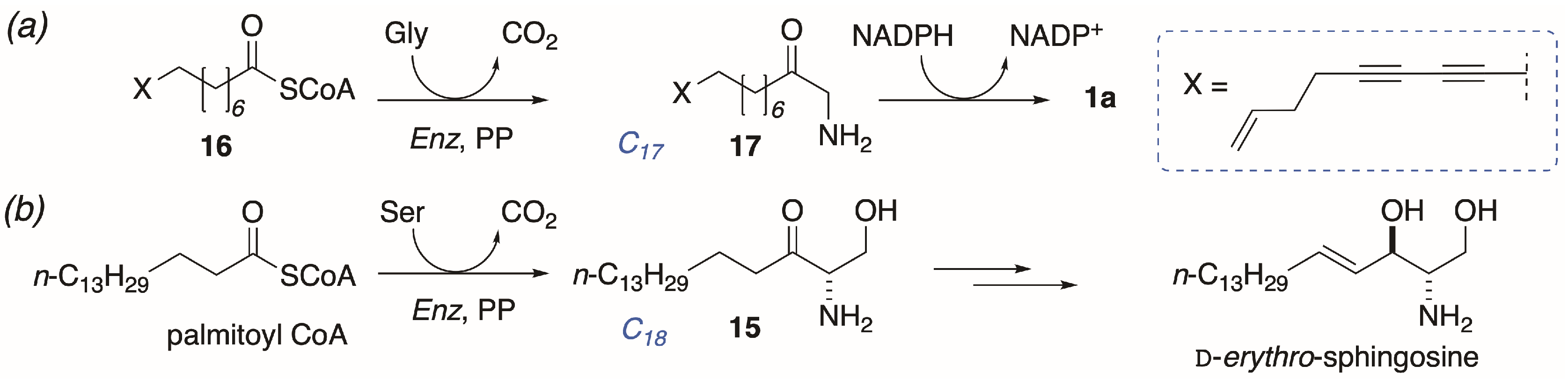 Molecules 24 00090 g006