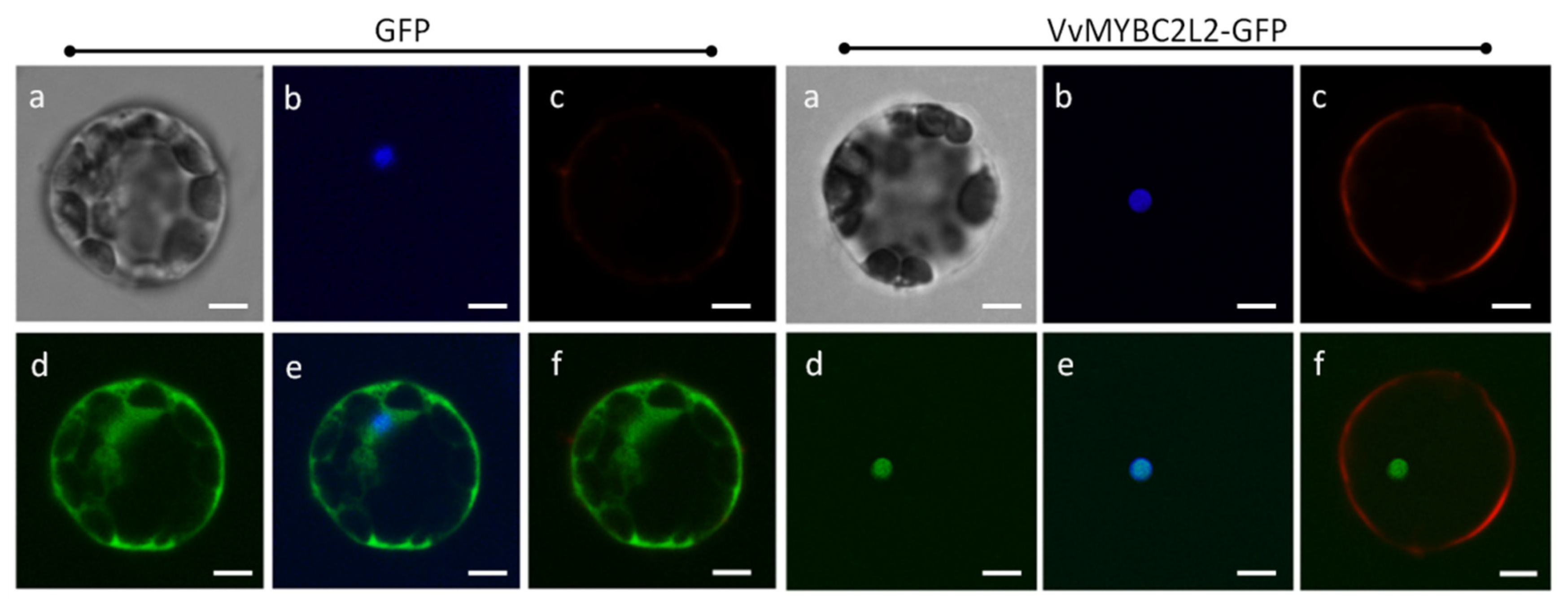 Molecules 24 00092 g002