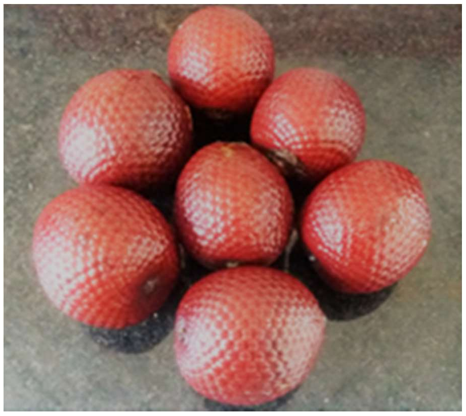 Molecules 24 00094 g001