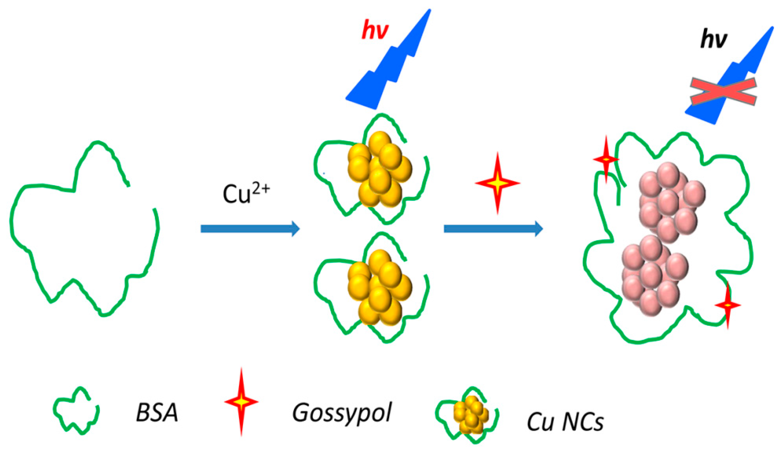 Molecules 24 00095 g005