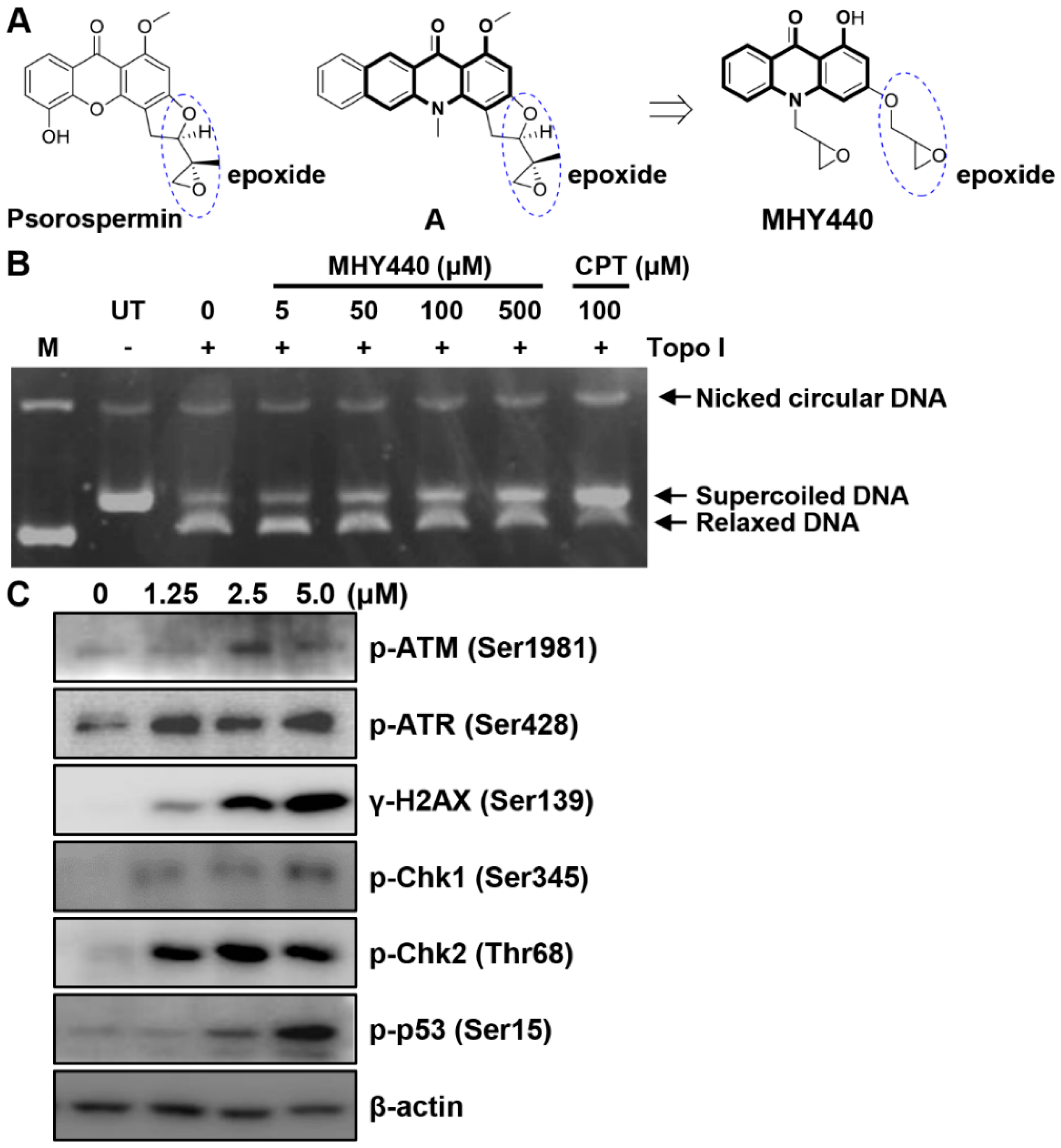 Molecules 24 00096 g001