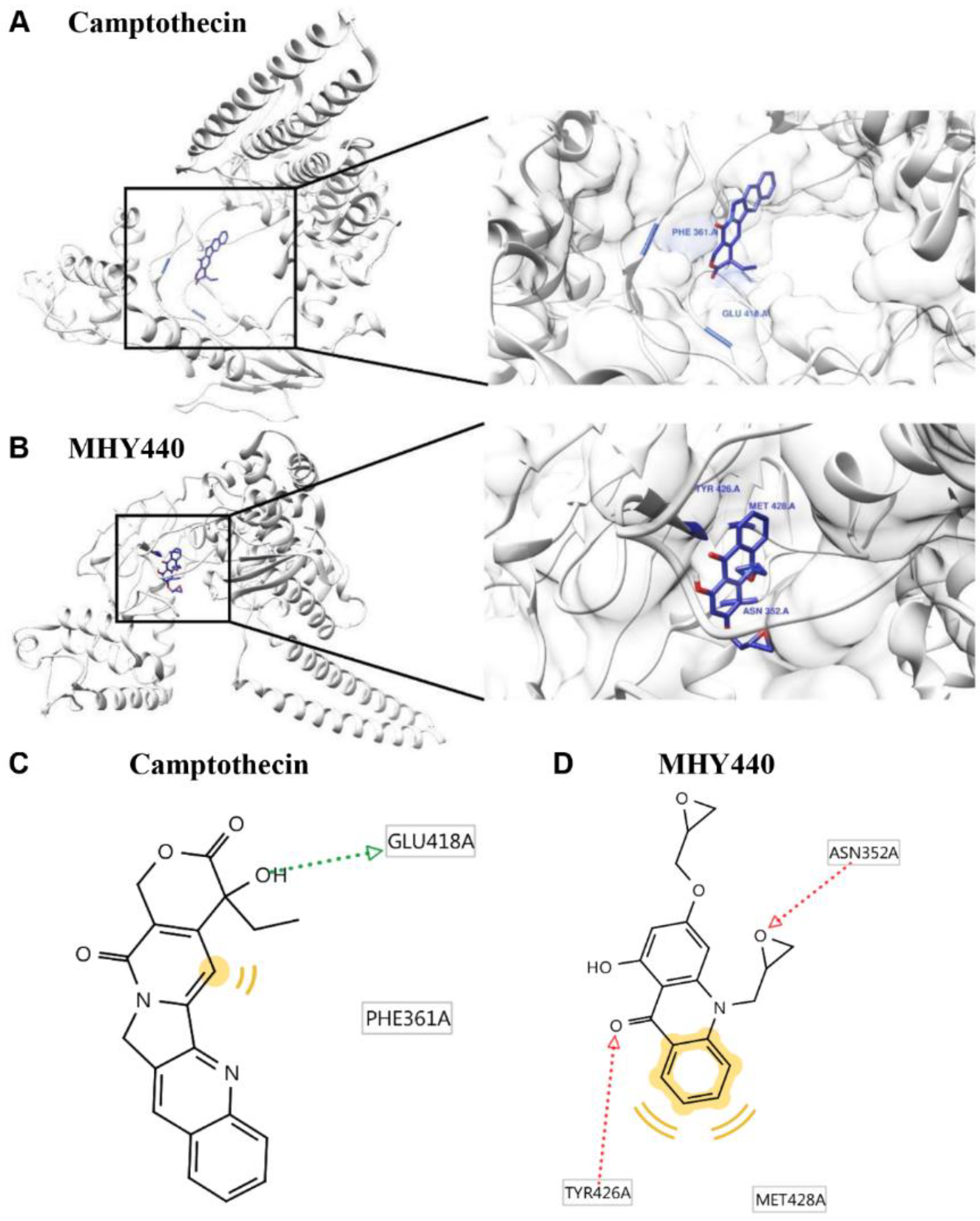 Molecules 24 00096 g002