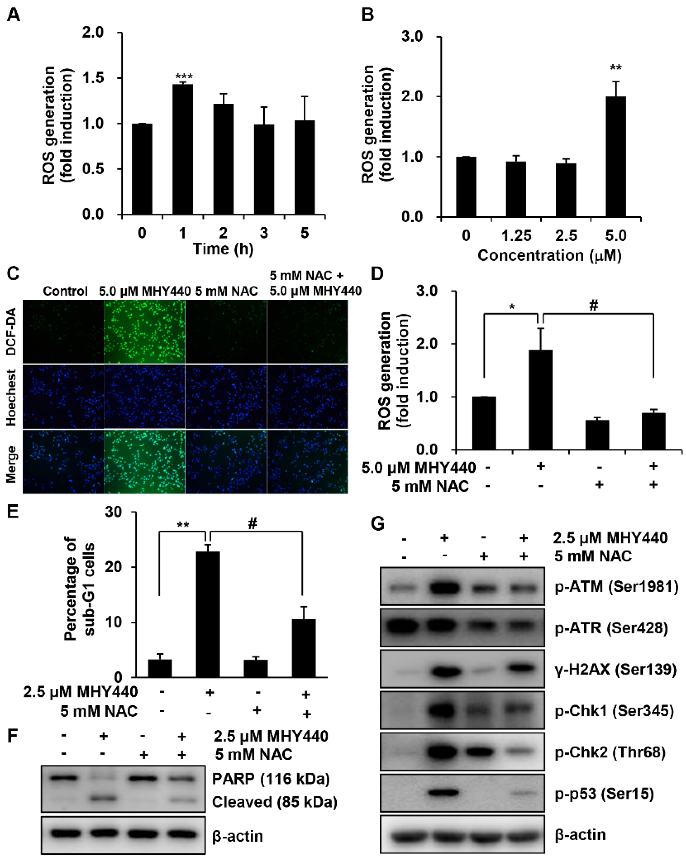 Molecules 24 00096 g008