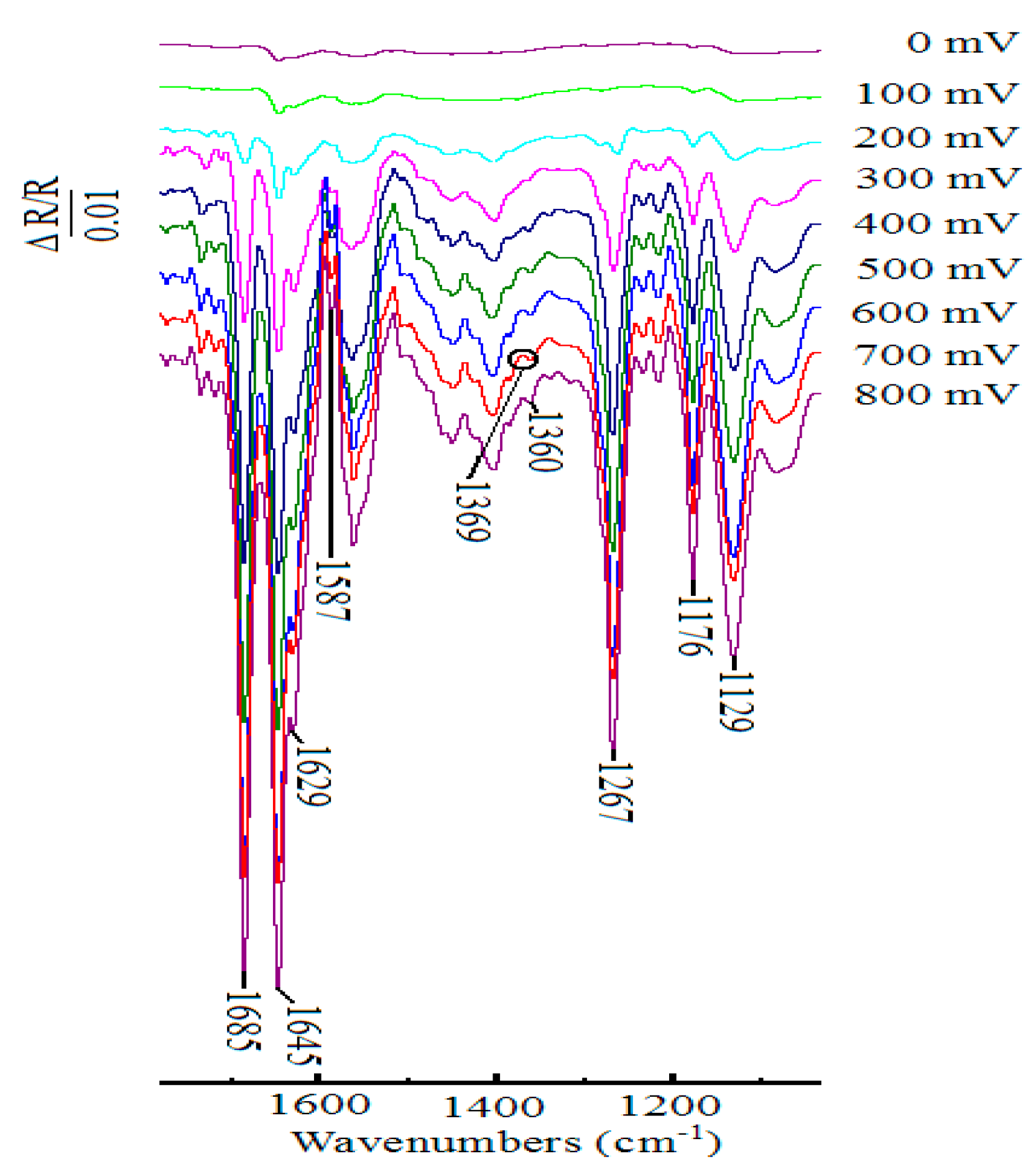 Molecules 24 00100 g004
