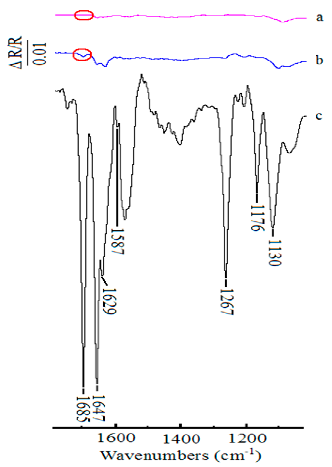Molecules 24 00100 g006