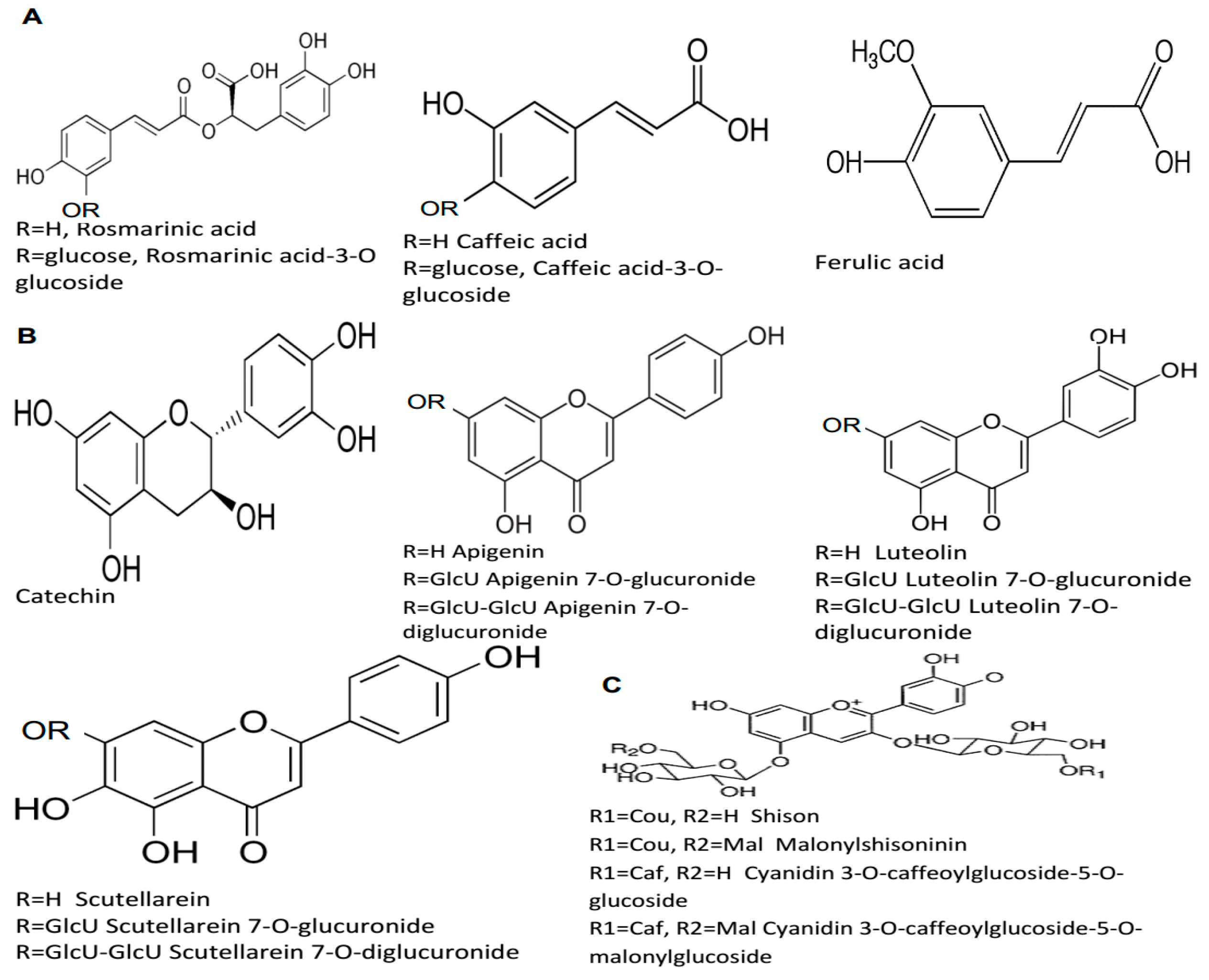 Molecules 24 00102 g001