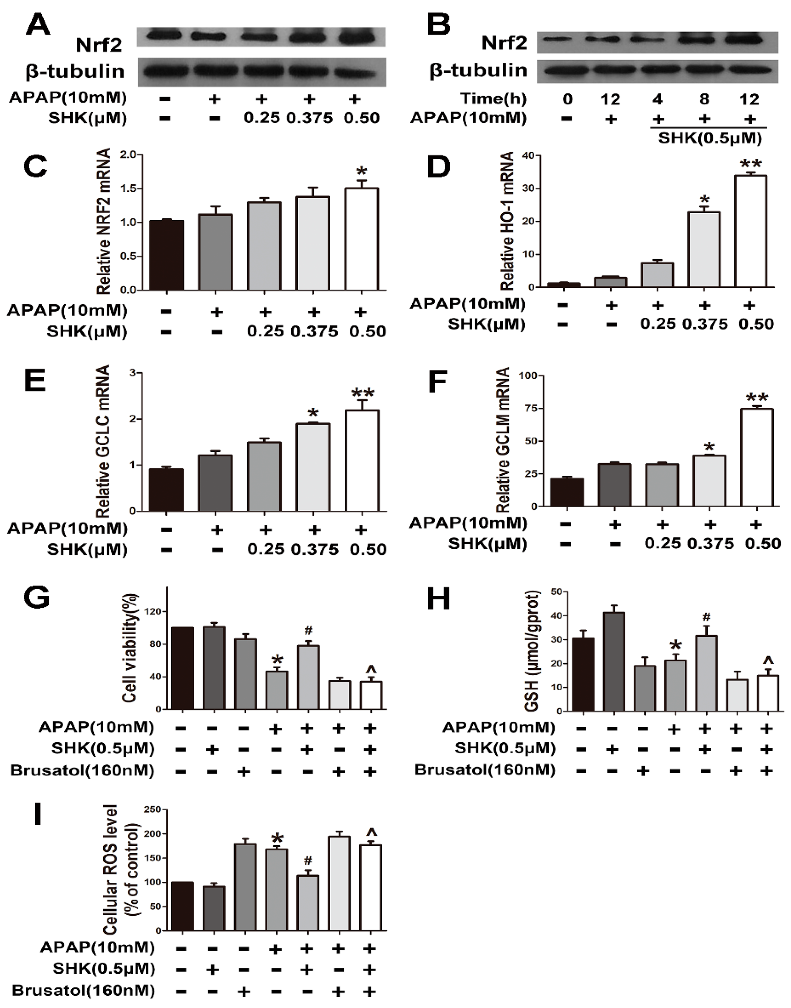 Molecules 24 00110 g004