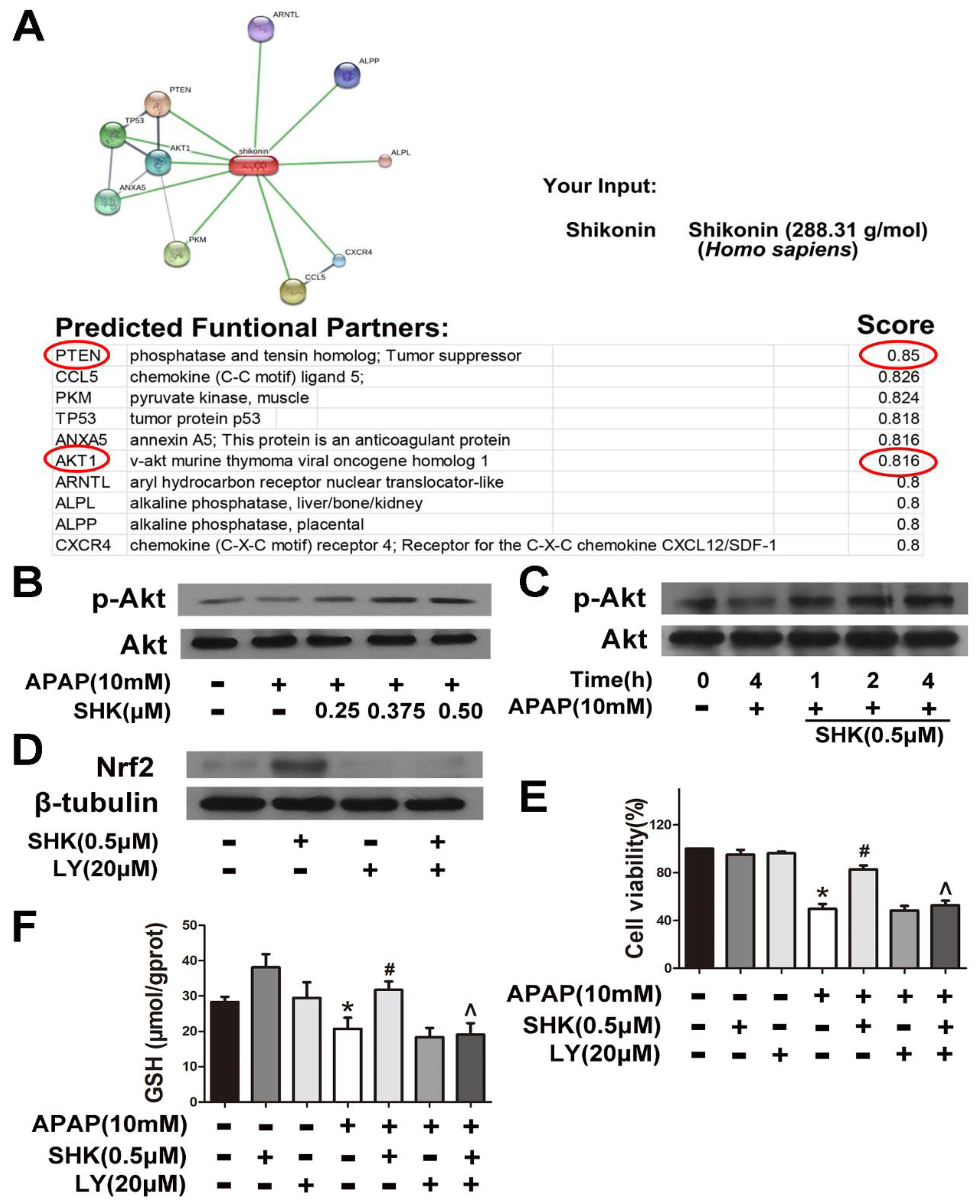 Molecules 24 00110 g005