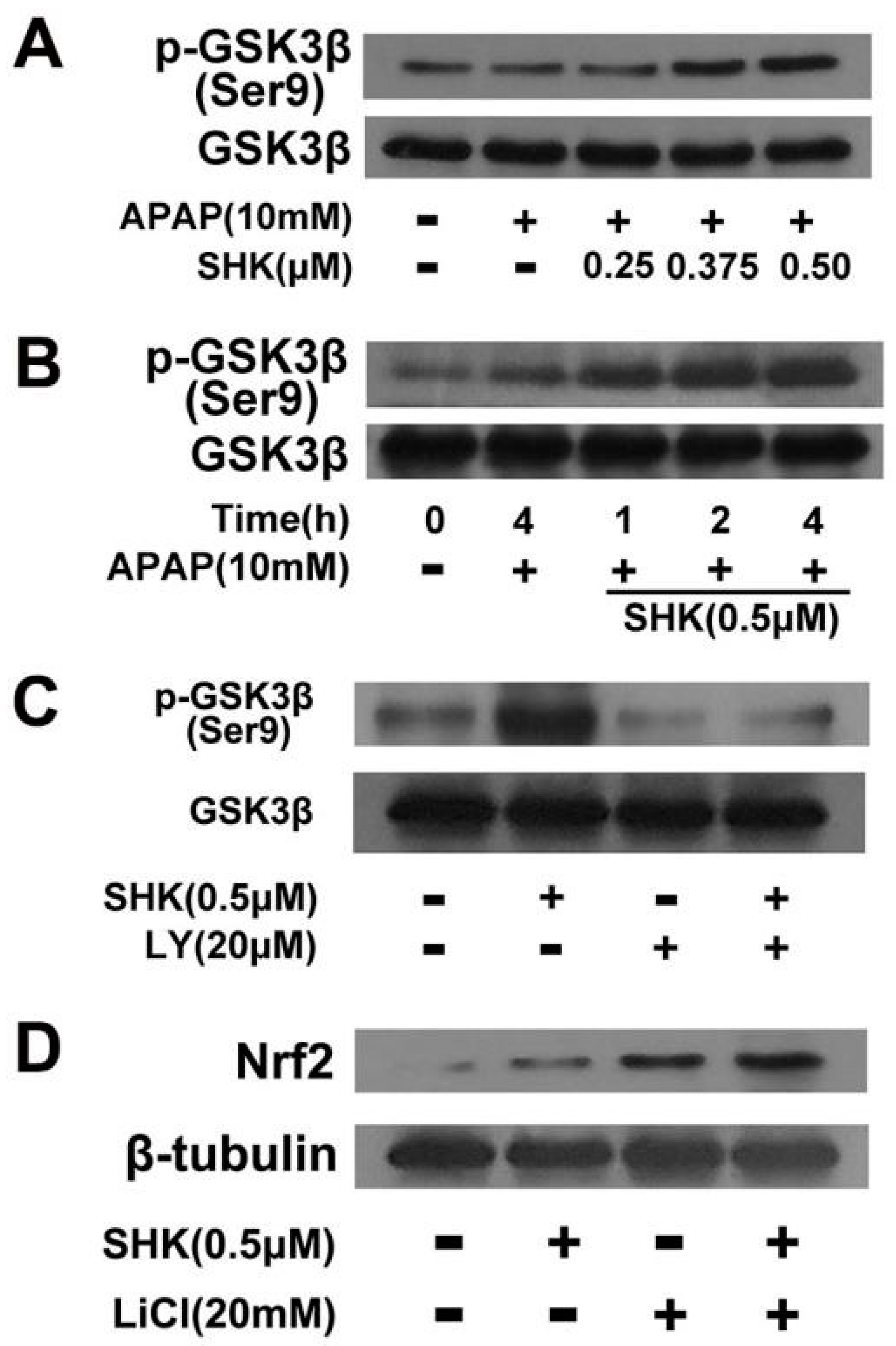 Molecules 24 00110 g006