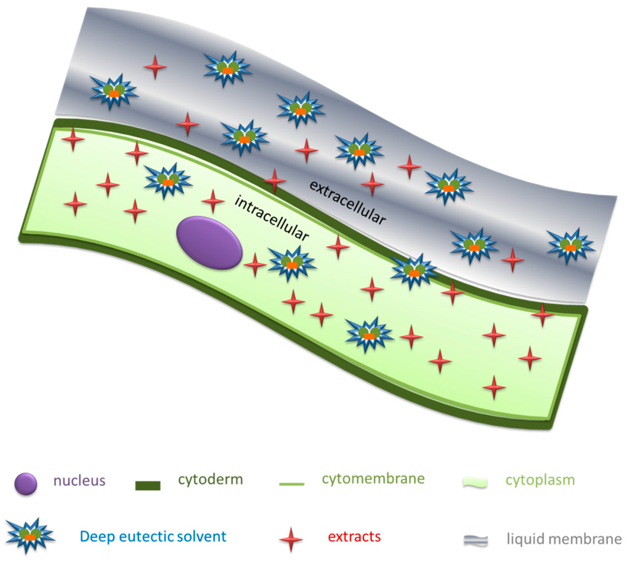 Molecules 24 00113 g005