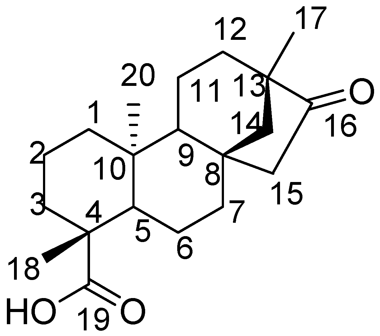 Molecules 24 00121 g001