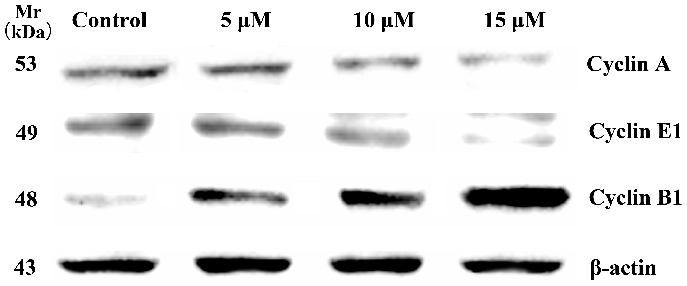 Molecules 24 00121 g005