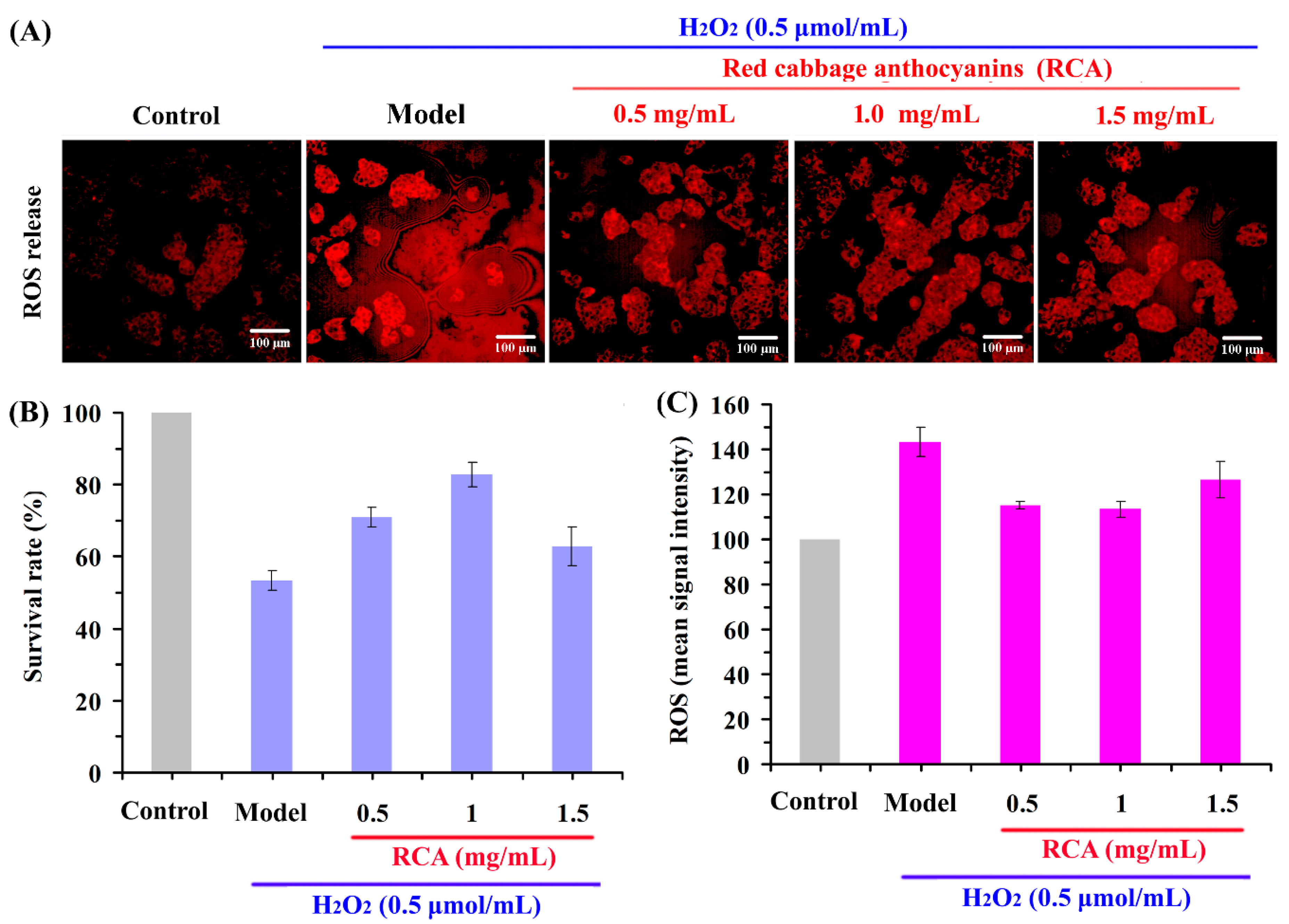 Molecules 24 00124 g003 Molecules 24 00124 g003