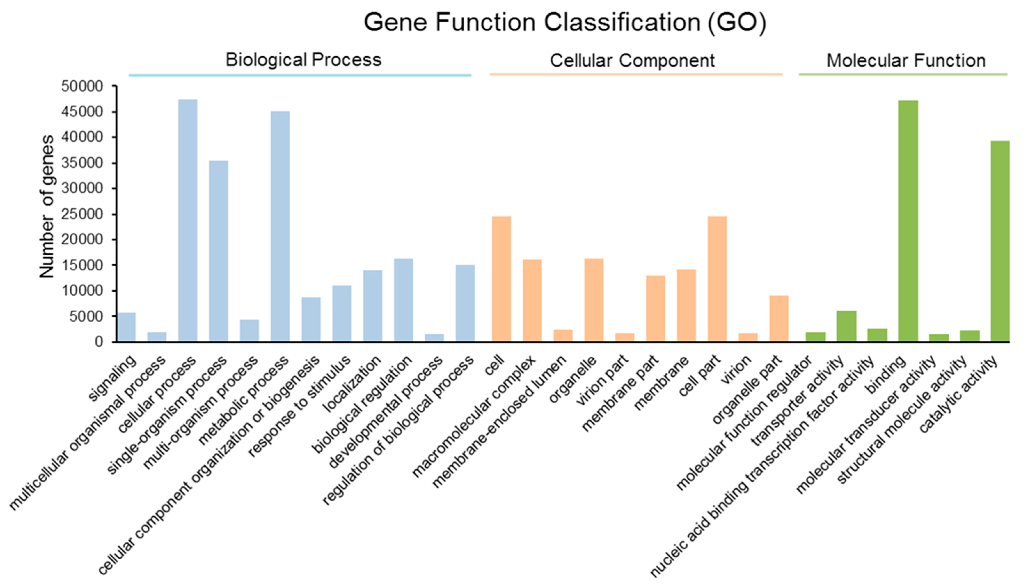 Molecules 24 00140 g002 Molecules 24 00140 g002