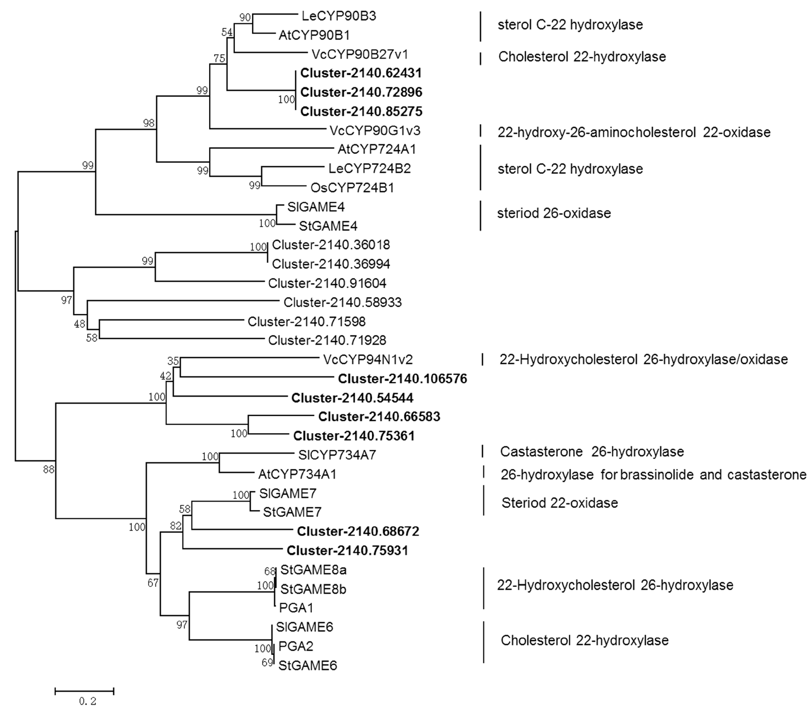 Molecules 24 00140 g004 Molecules 24 00140 g004
