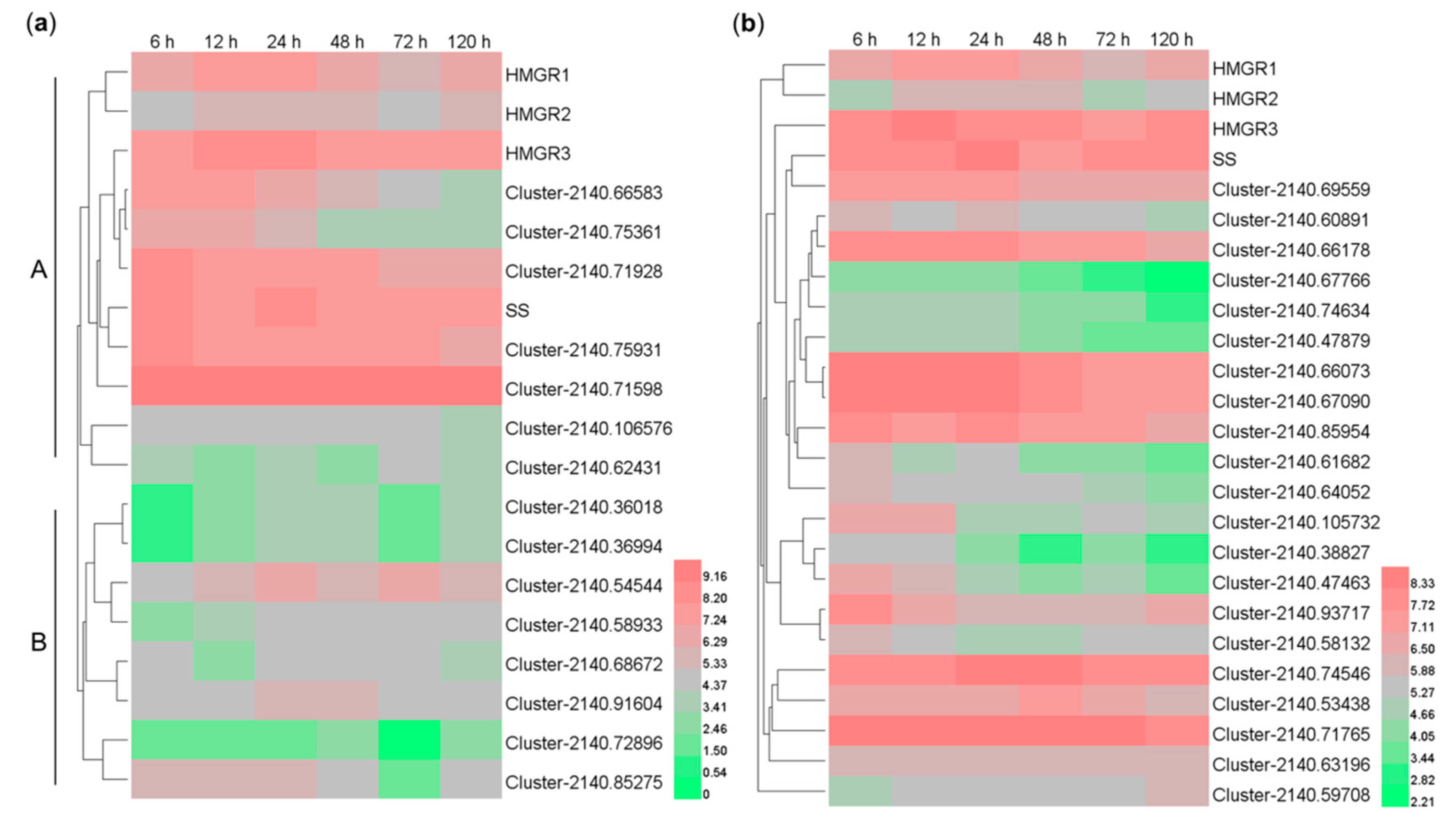 Molecules 24 00140 g005 Molecules 24 00140 g005