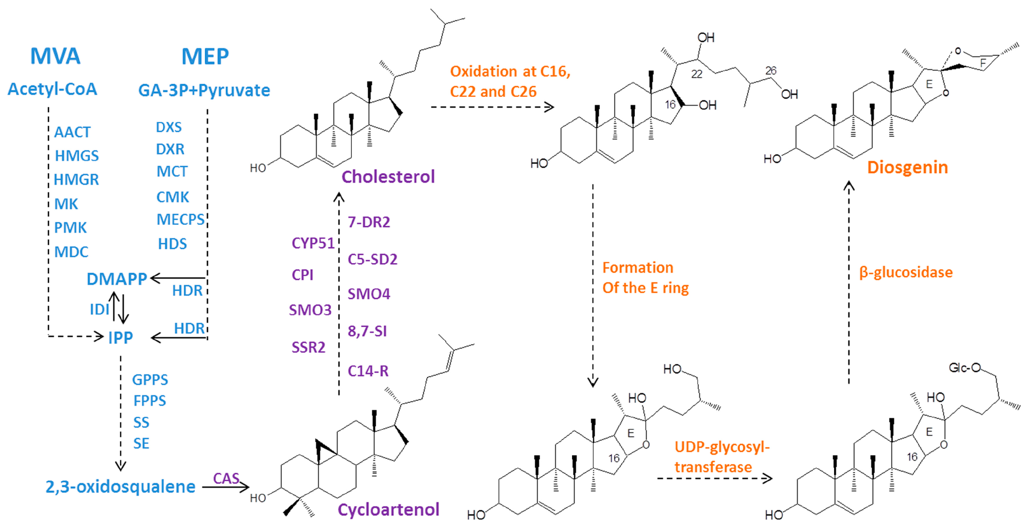 Molecules 24 00140 sch001 Molecules 24 00140 sch001