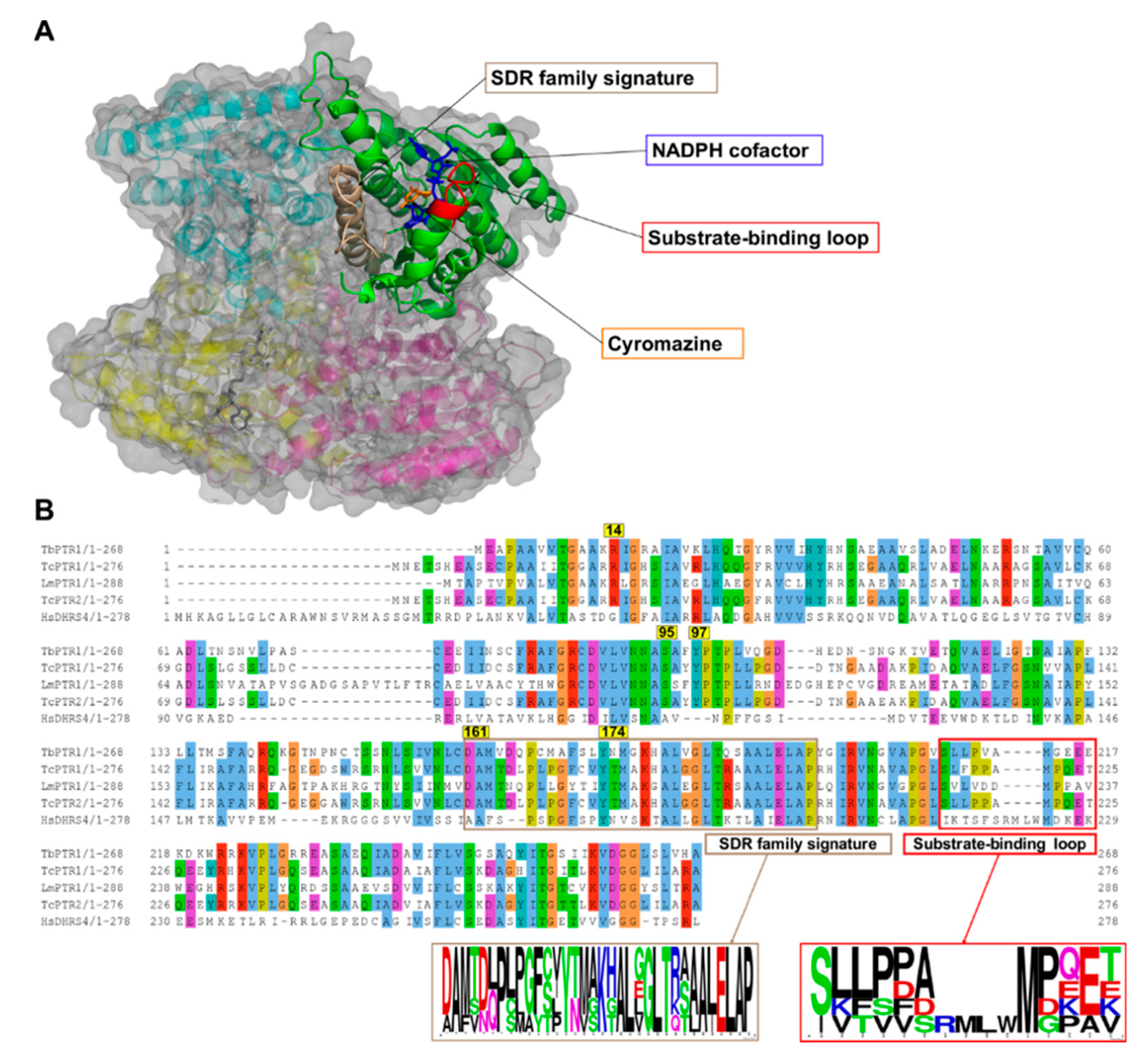 Molecules 24 00142 g002