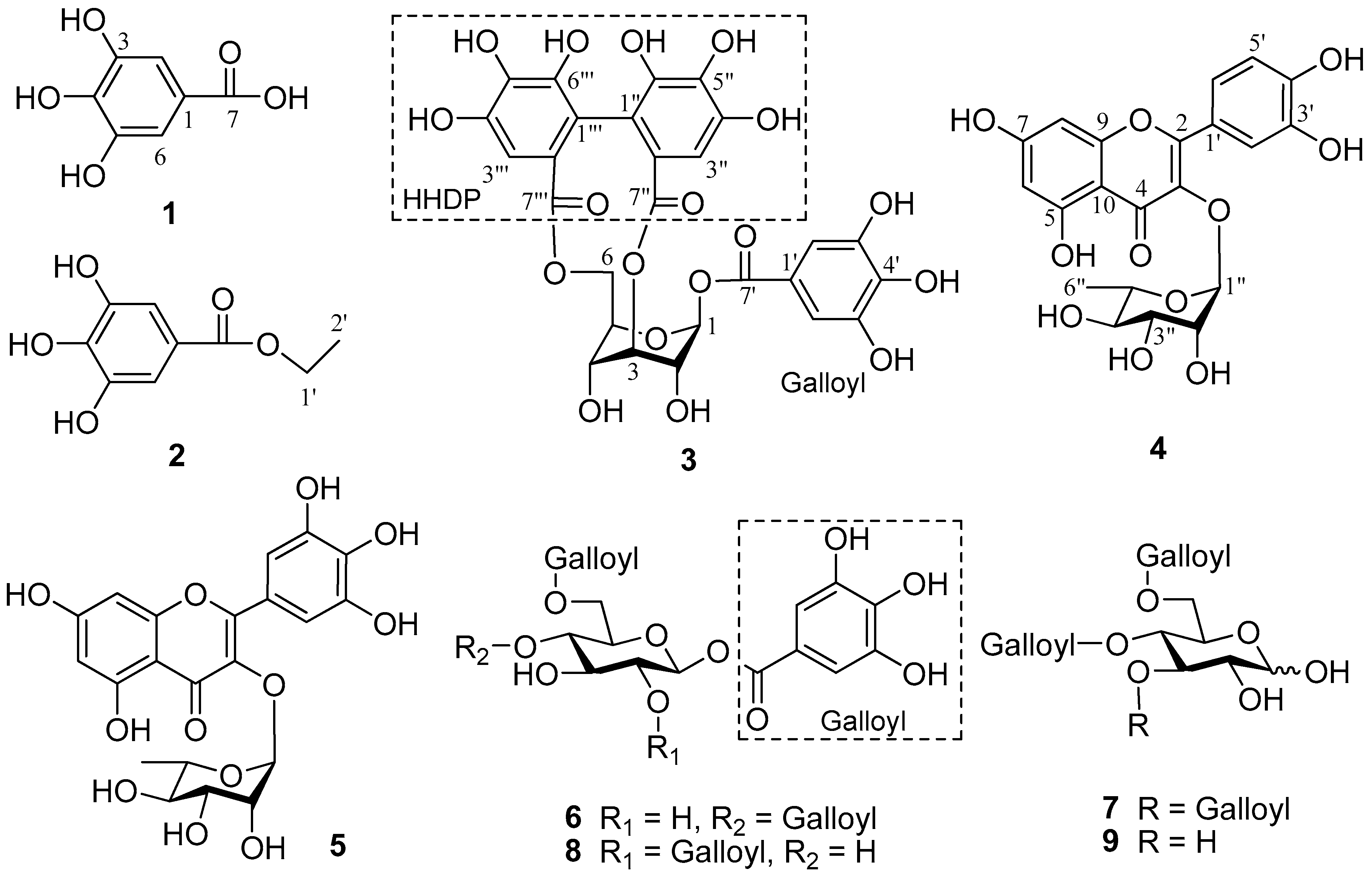 Molecules 24 00145 g001
