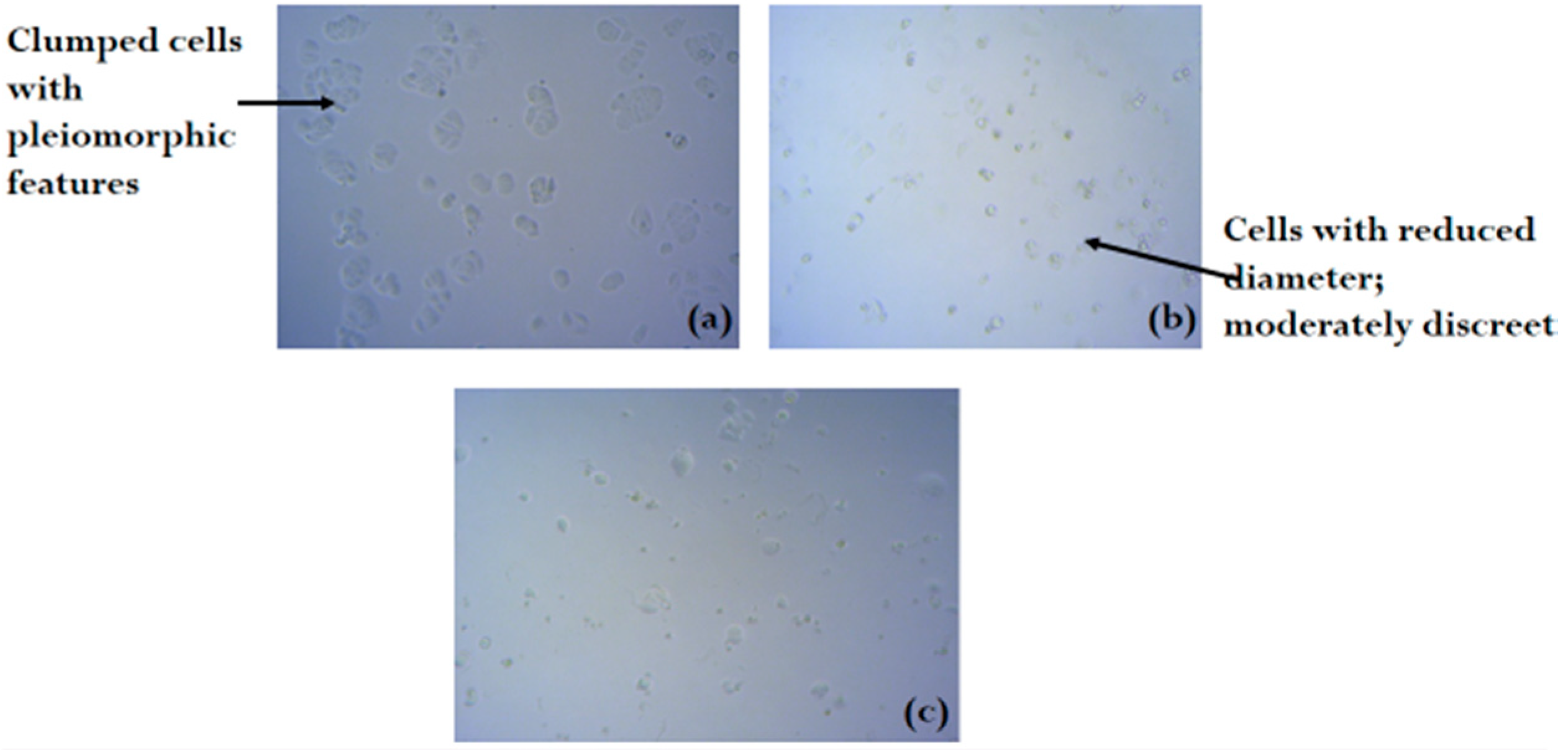 Molecules 24 00145 g002