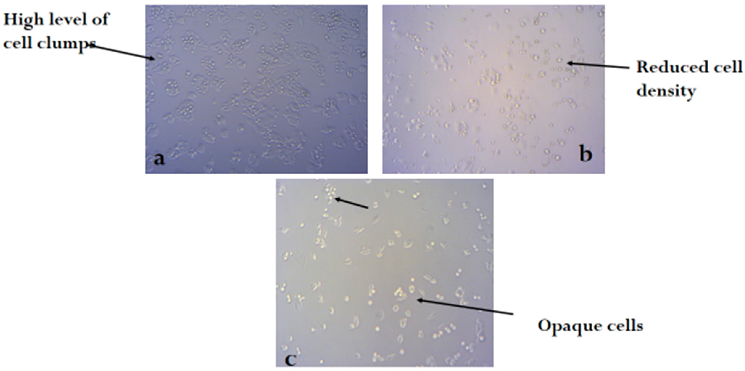 Molecules 24 00145 g003