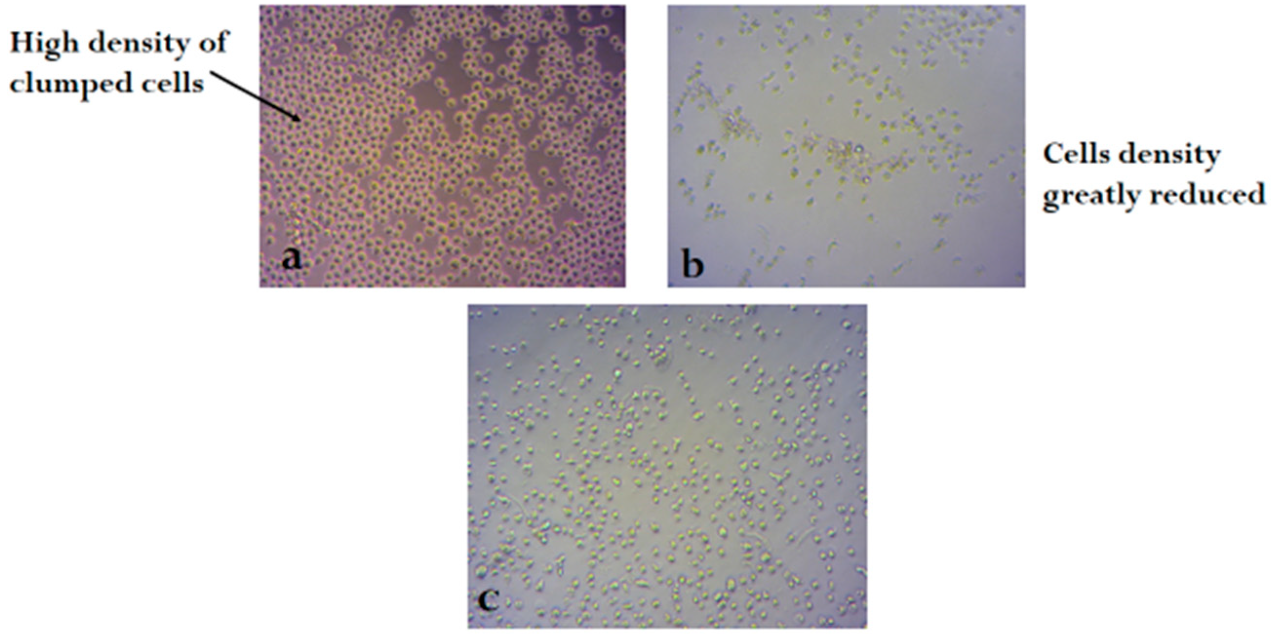 Molecules 24 00145 g004