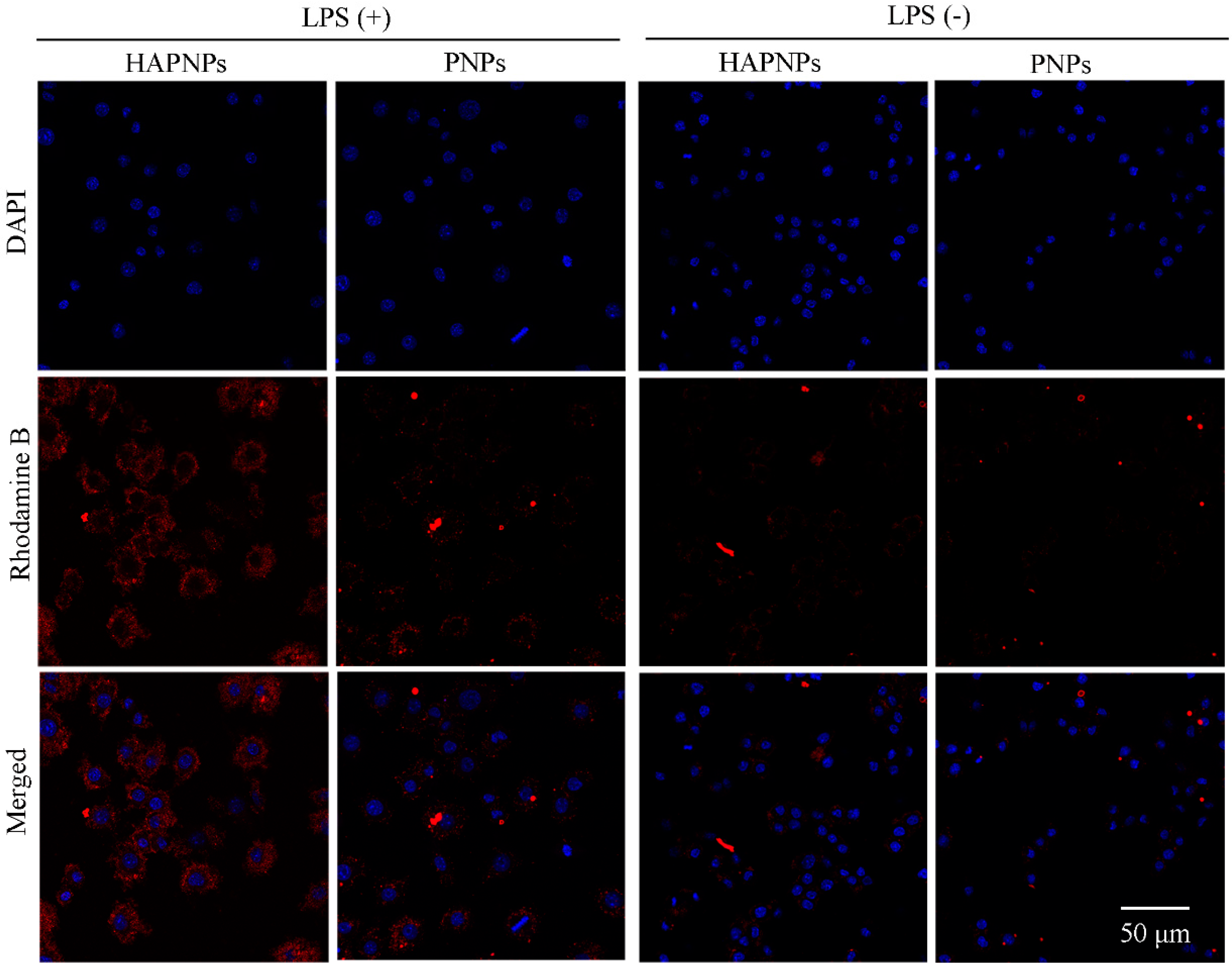 Molecules 24 00146 g006 Molecules 24 00146 g006