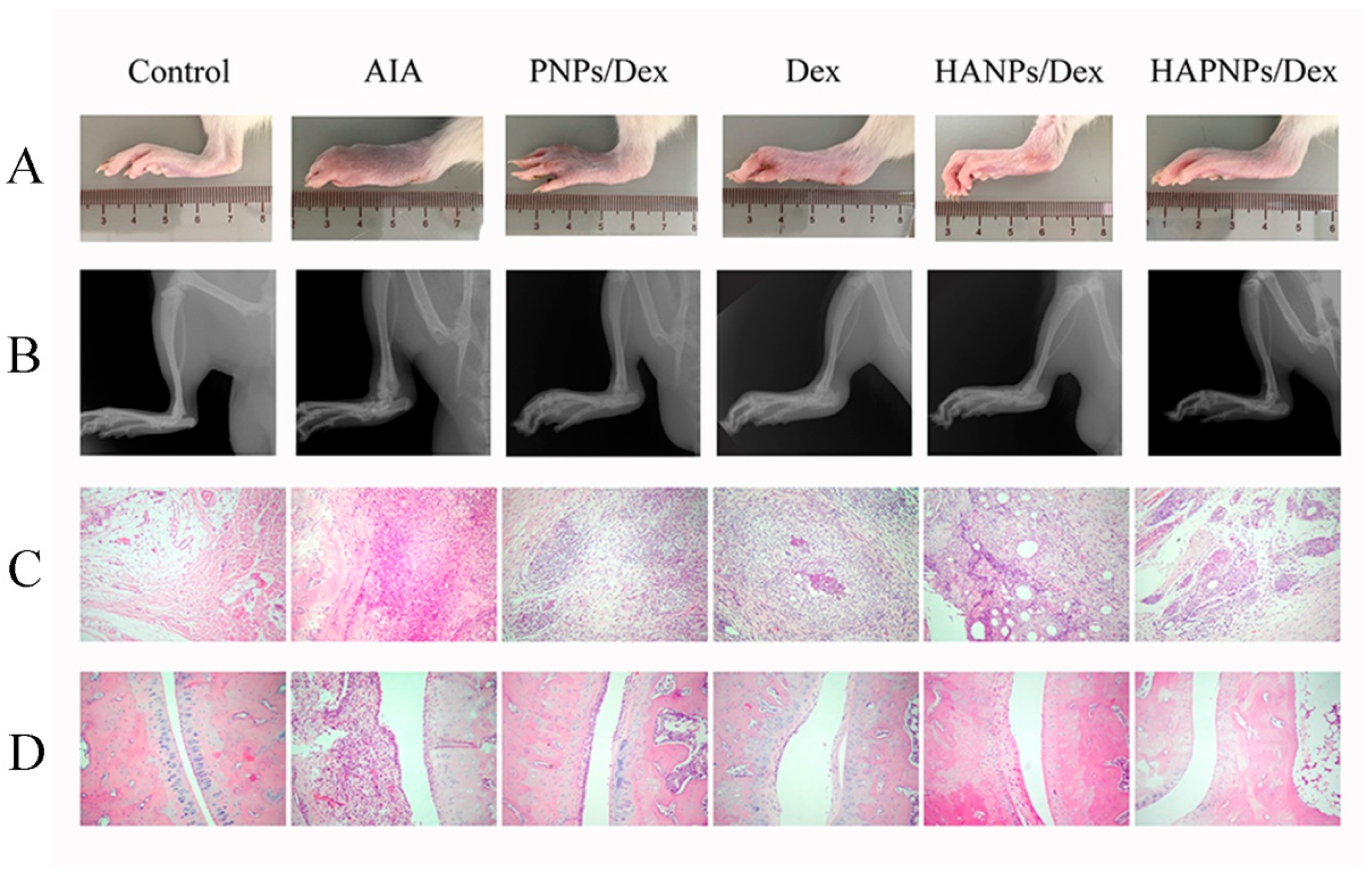 Molecules 24 00146 g008 Molecules 24 00146 g008