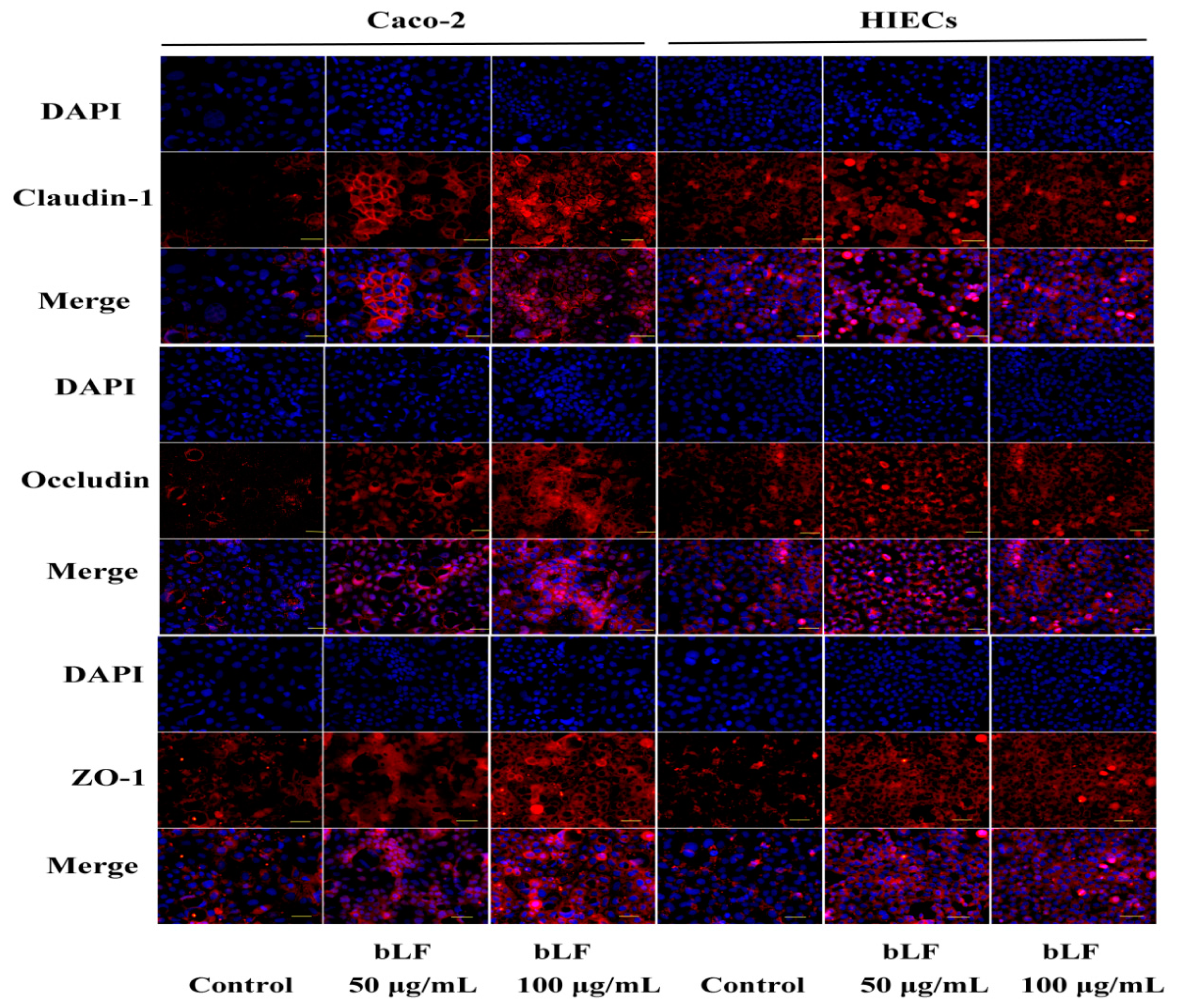 Molecules 24 00148 g006