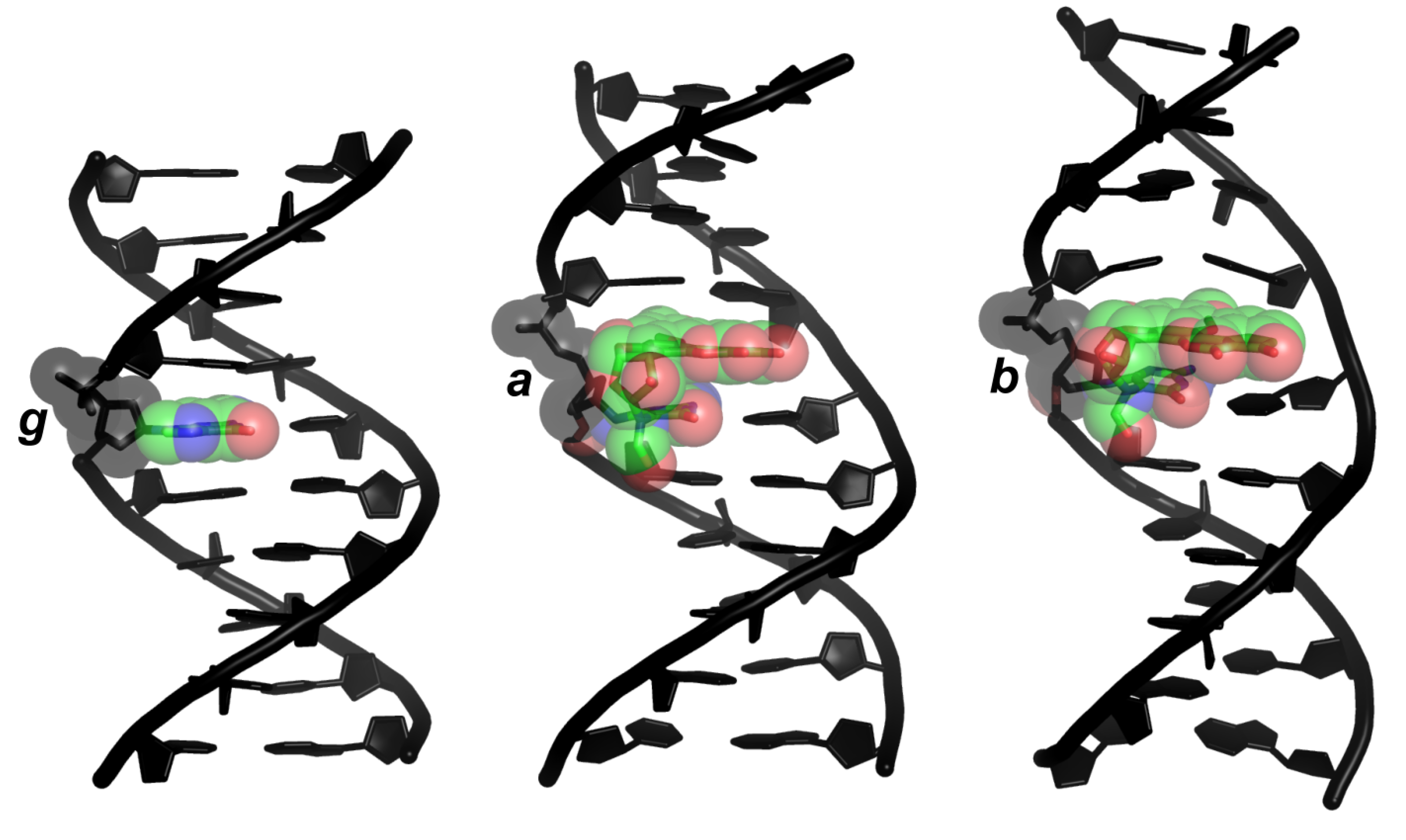 Molecules 24 00150 g002