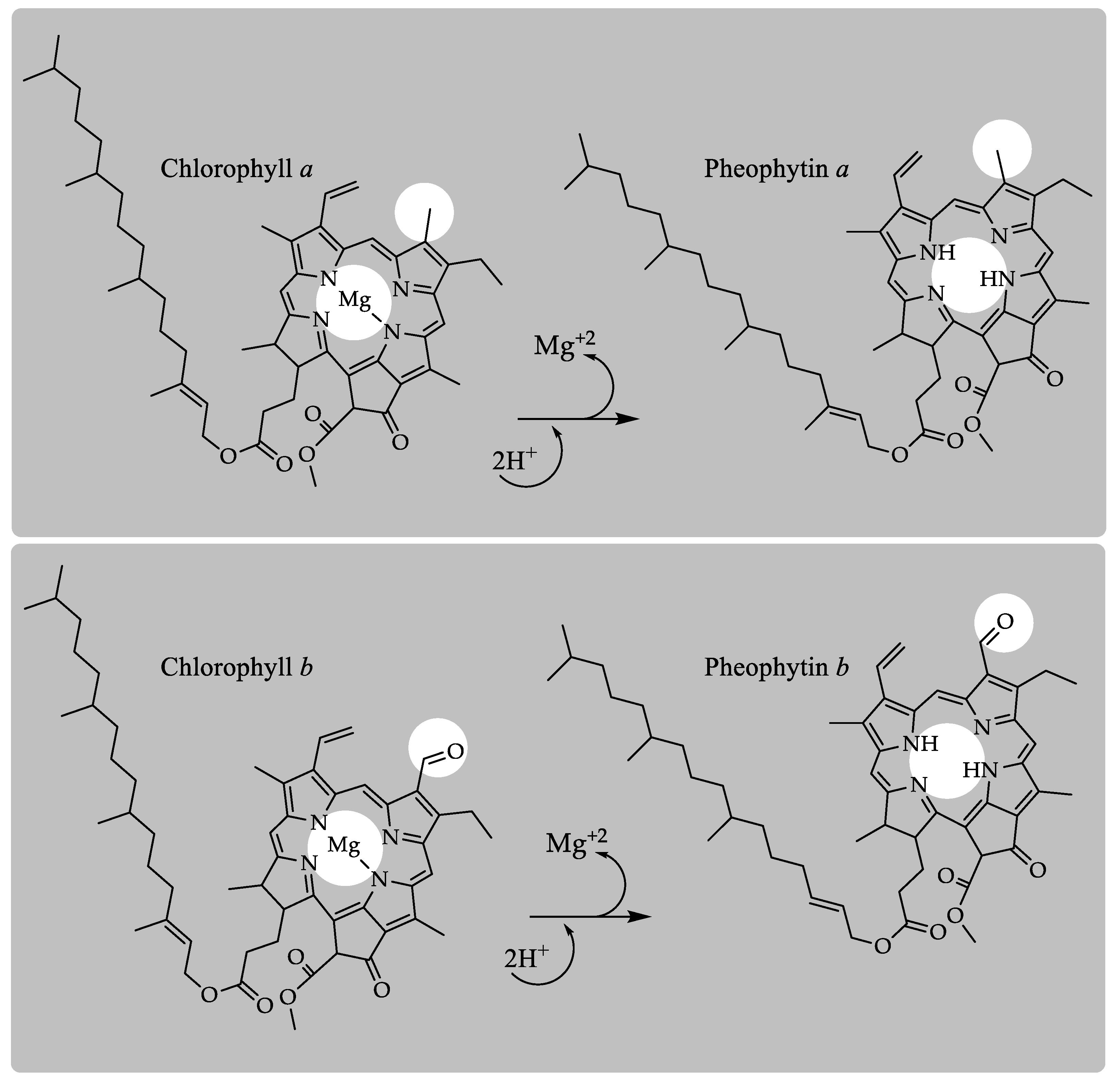 Molecules 24 00154 g004