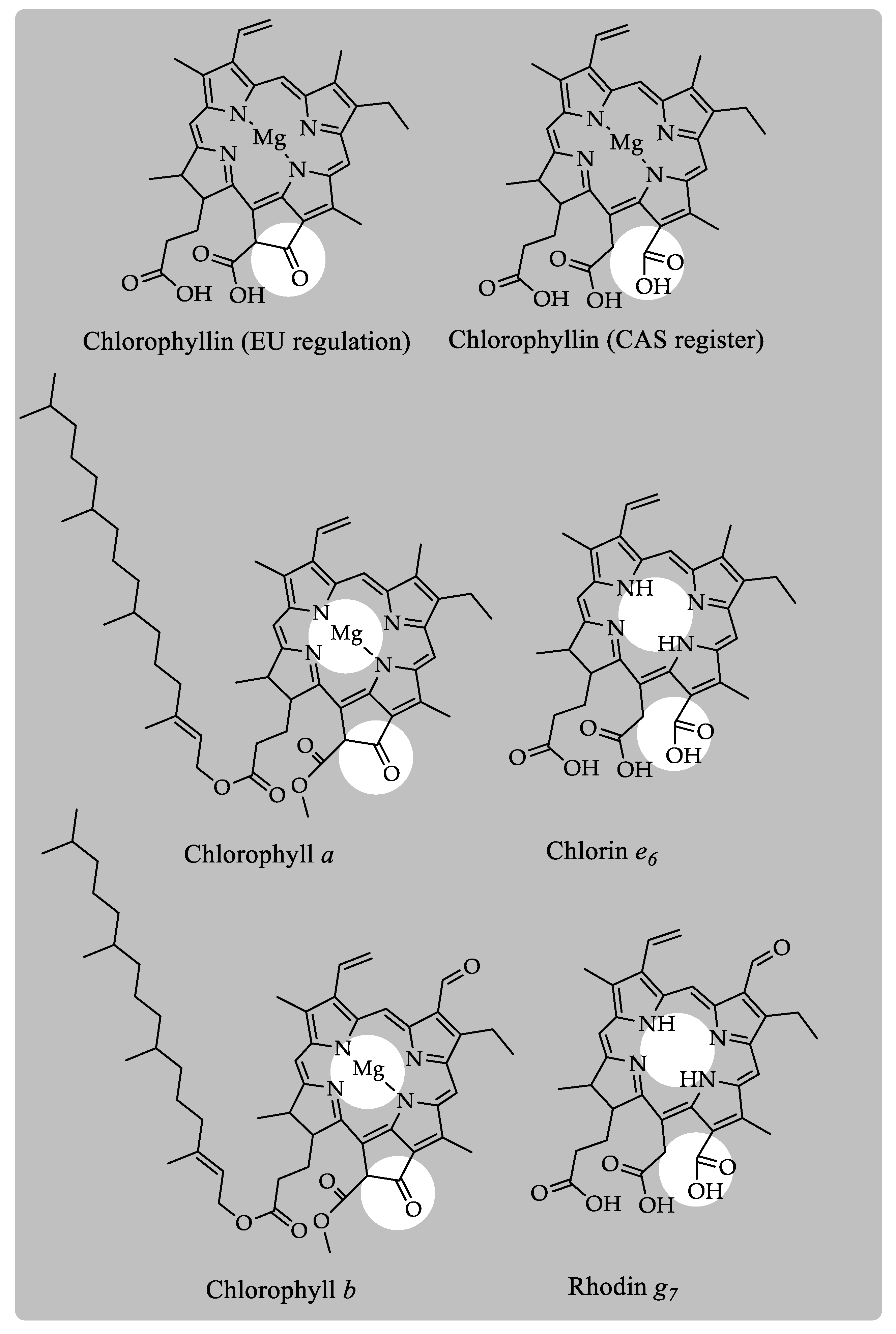 Molecules 24 00154 g005