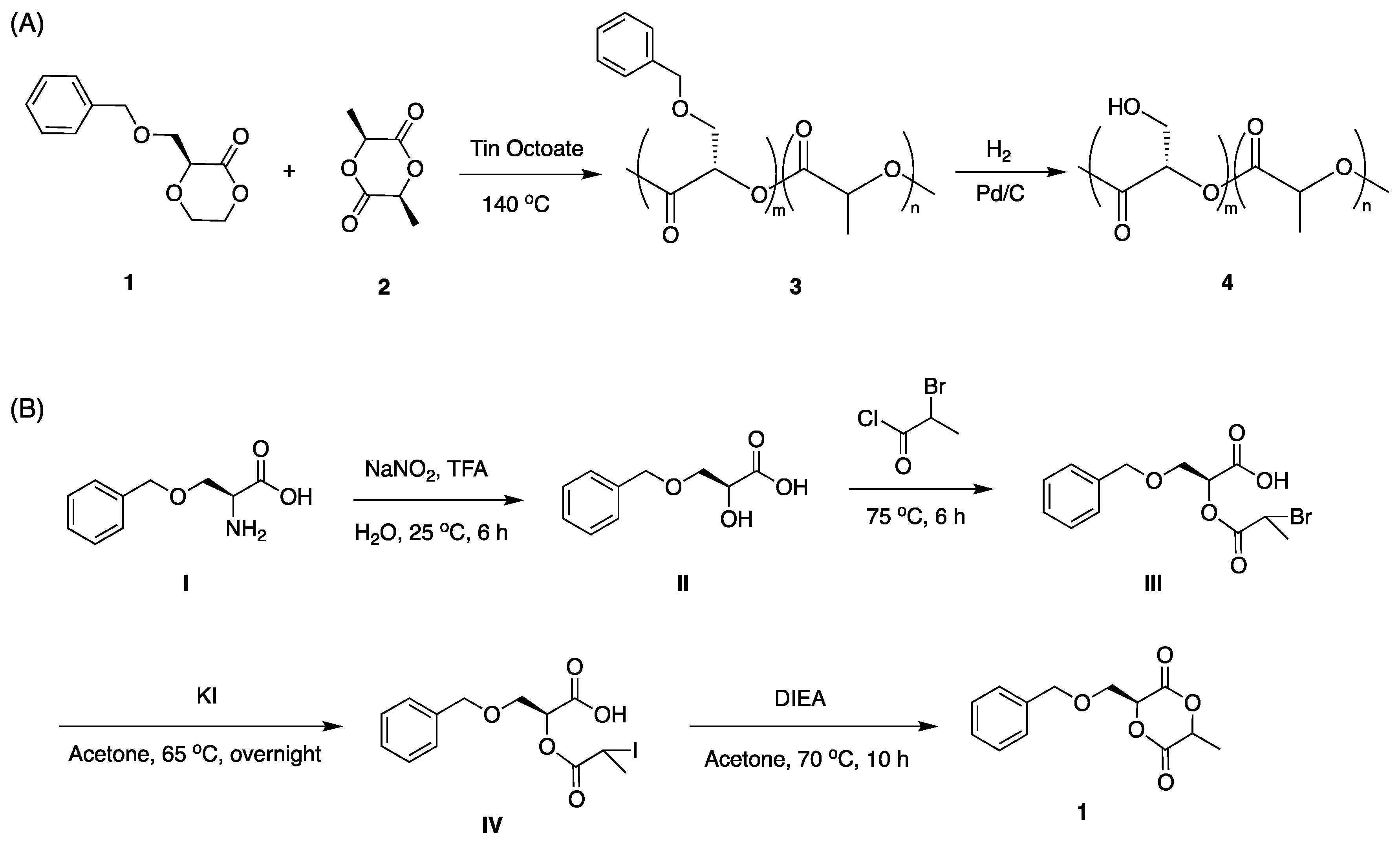 Molecules 24 00157 sch001 Molecules 24 00157 sch001